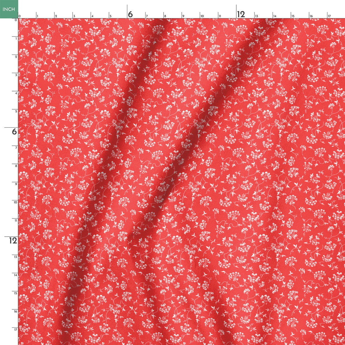springs ruler 18x18