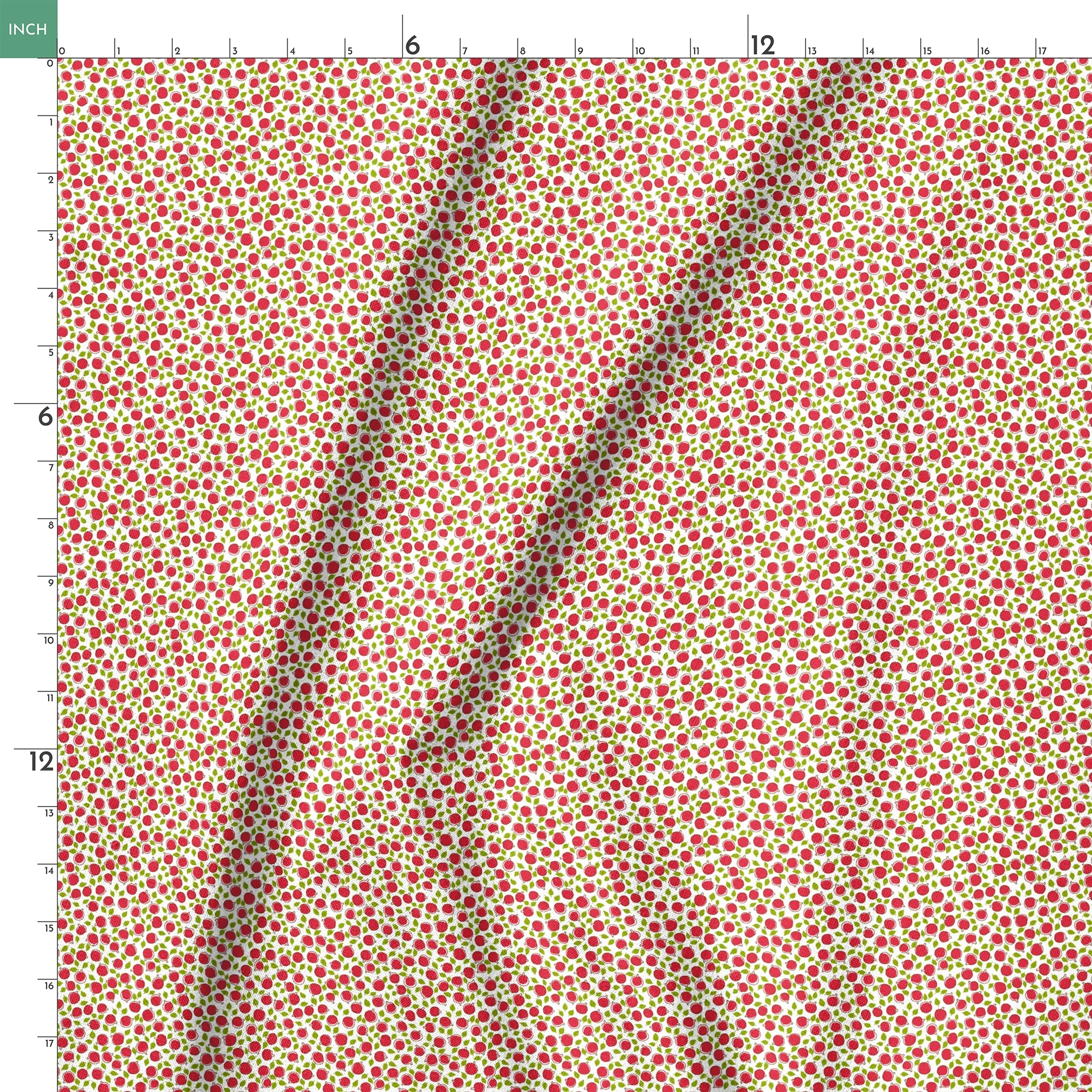 springs ruler 18x18