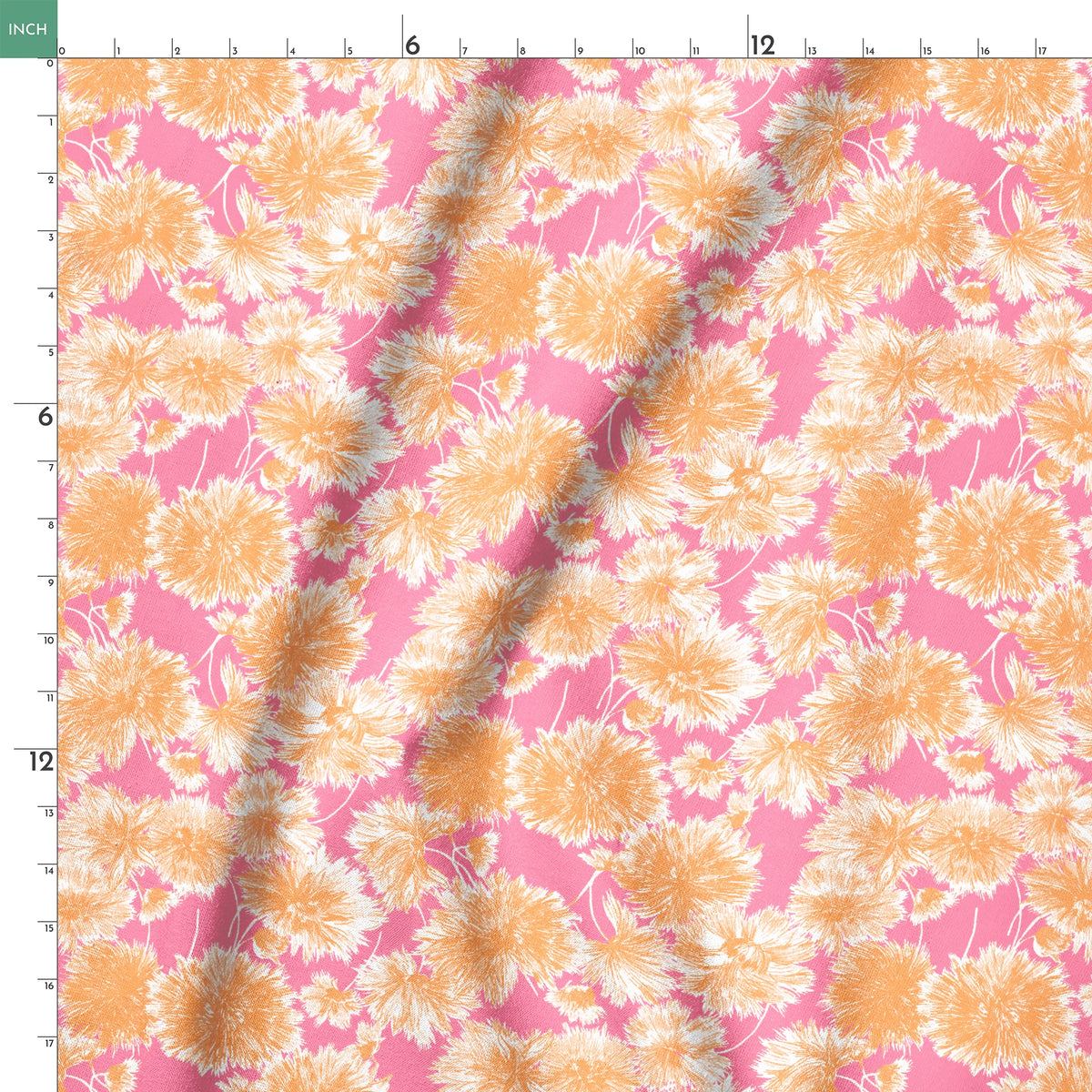 springs ruler 18x18
