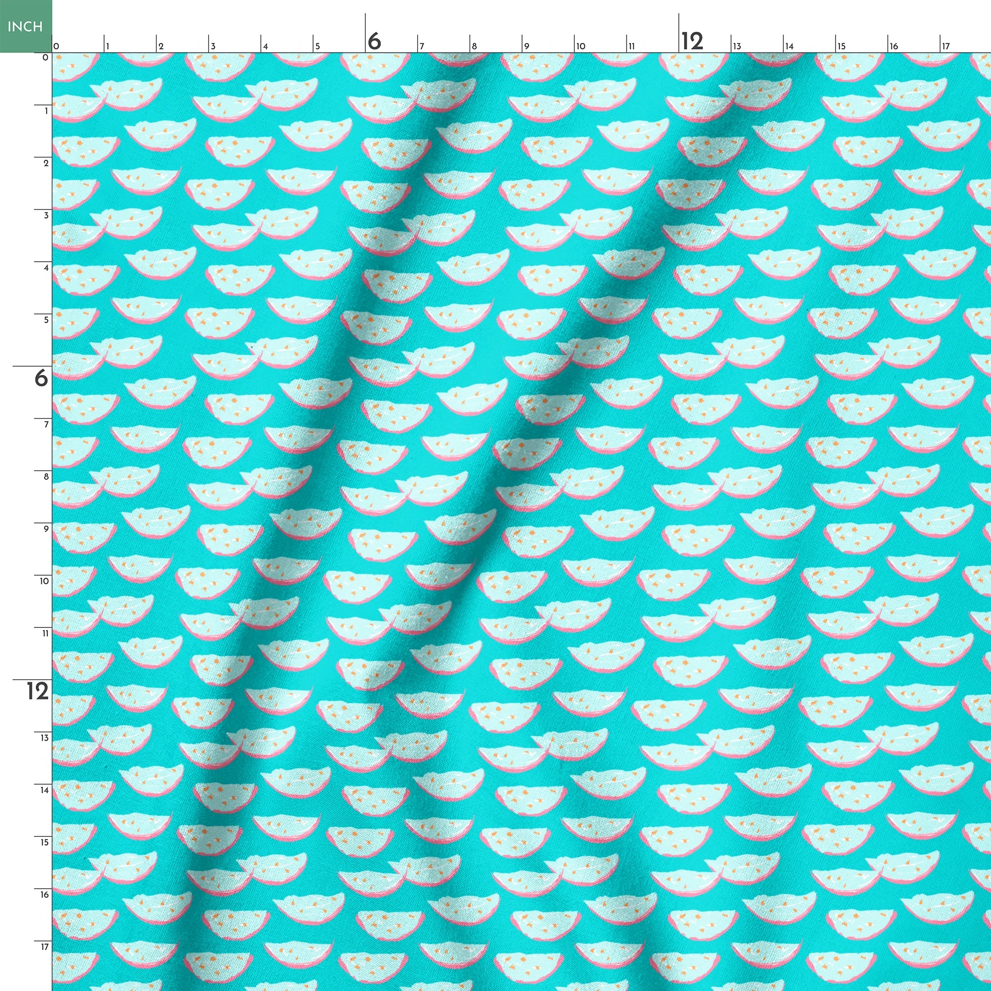 springs ruler 18x18
