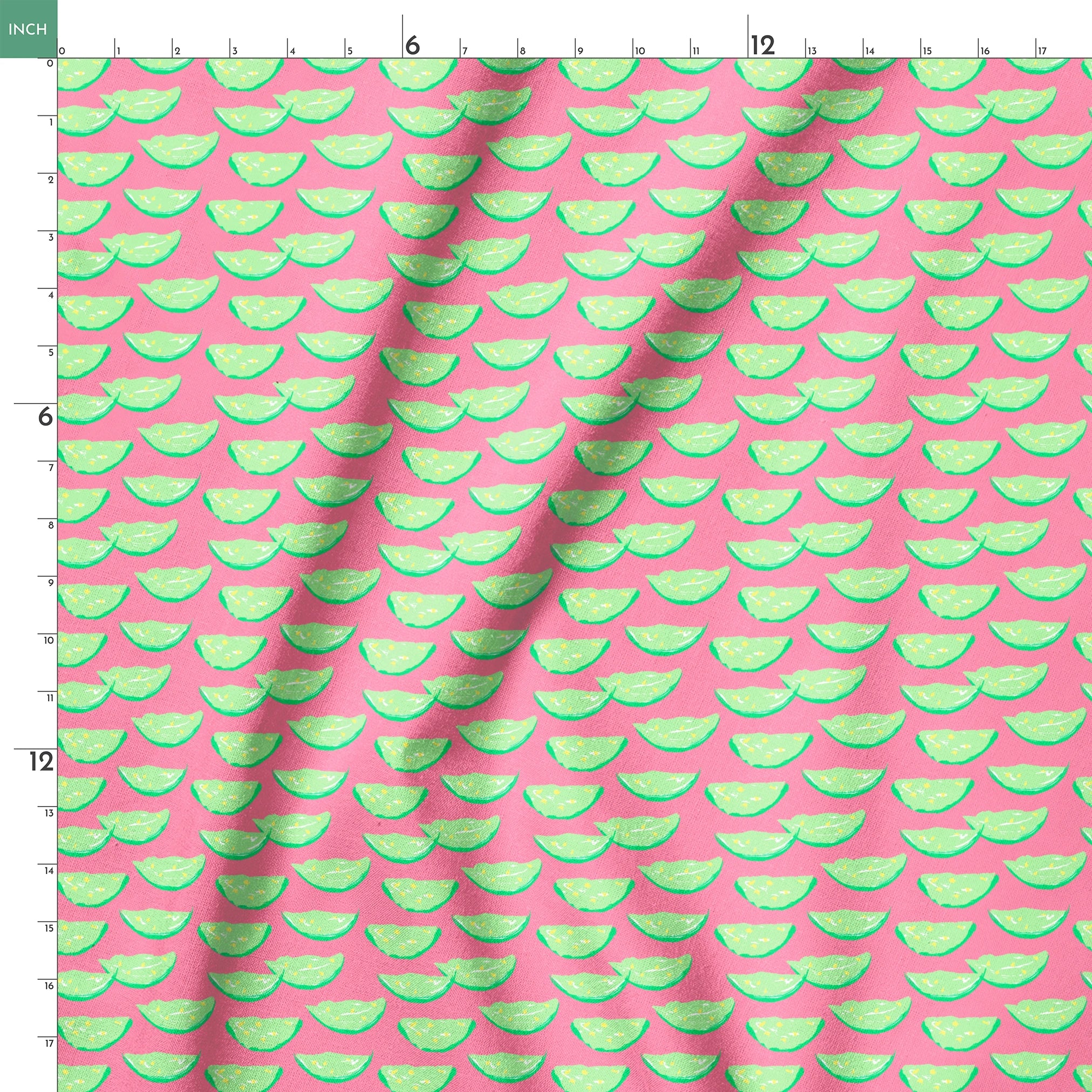 springs ruler 18x18