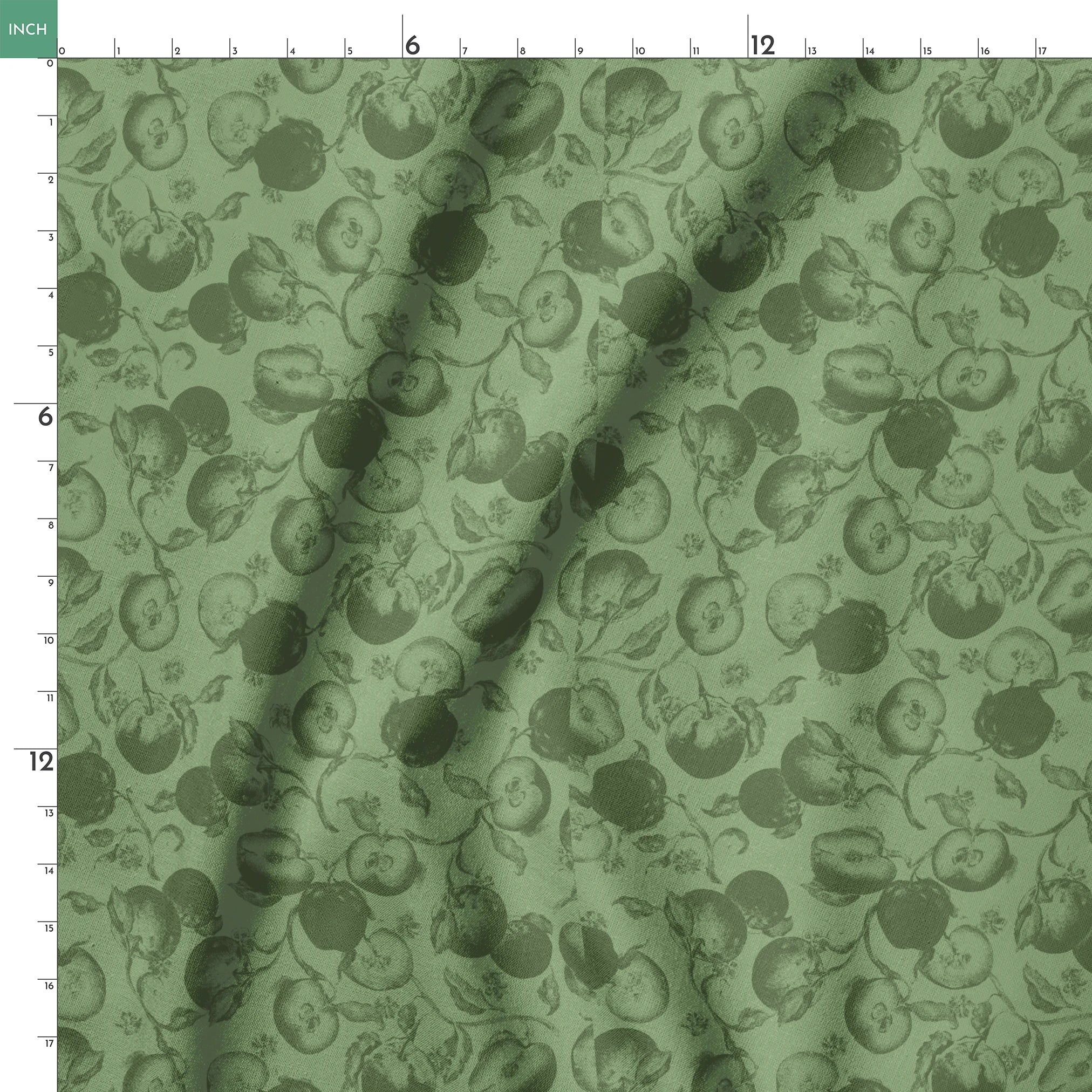 springs ruler 18x18