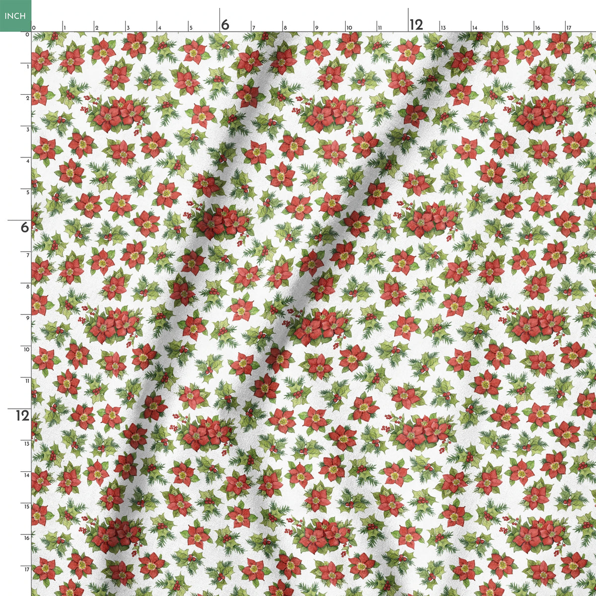 springs ruler 18x18