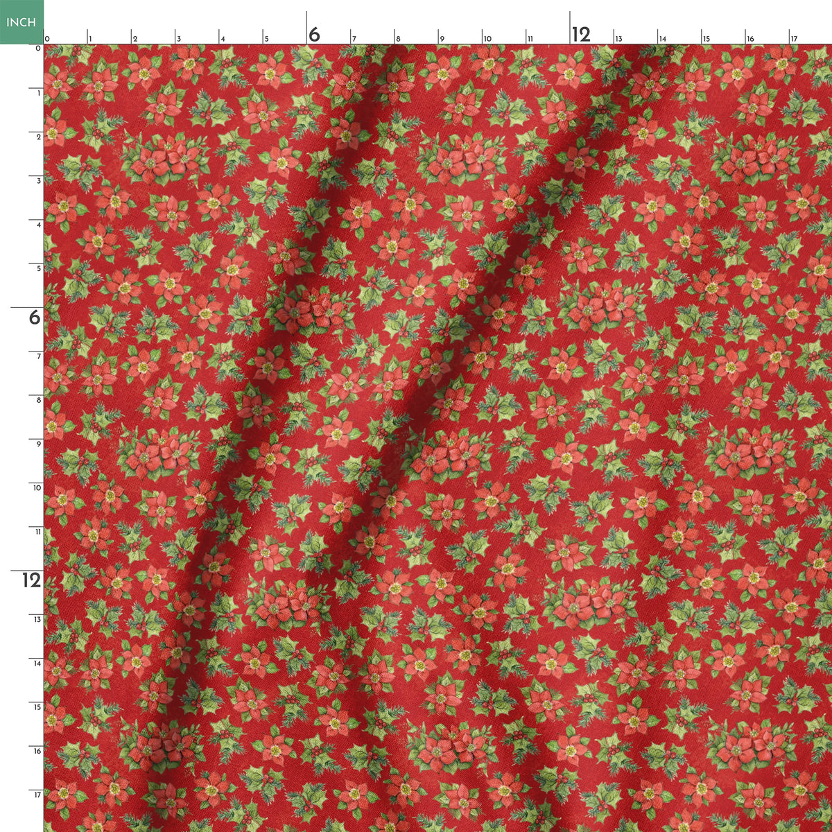 springs ruler 18x18