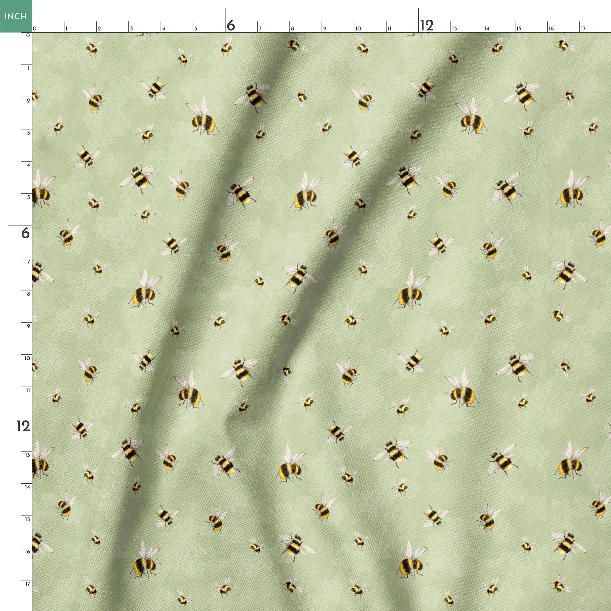 springs ruler 18x18