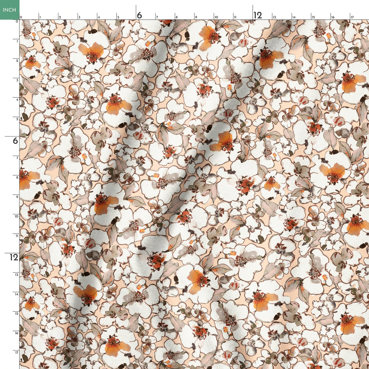 springs ruler 18x18