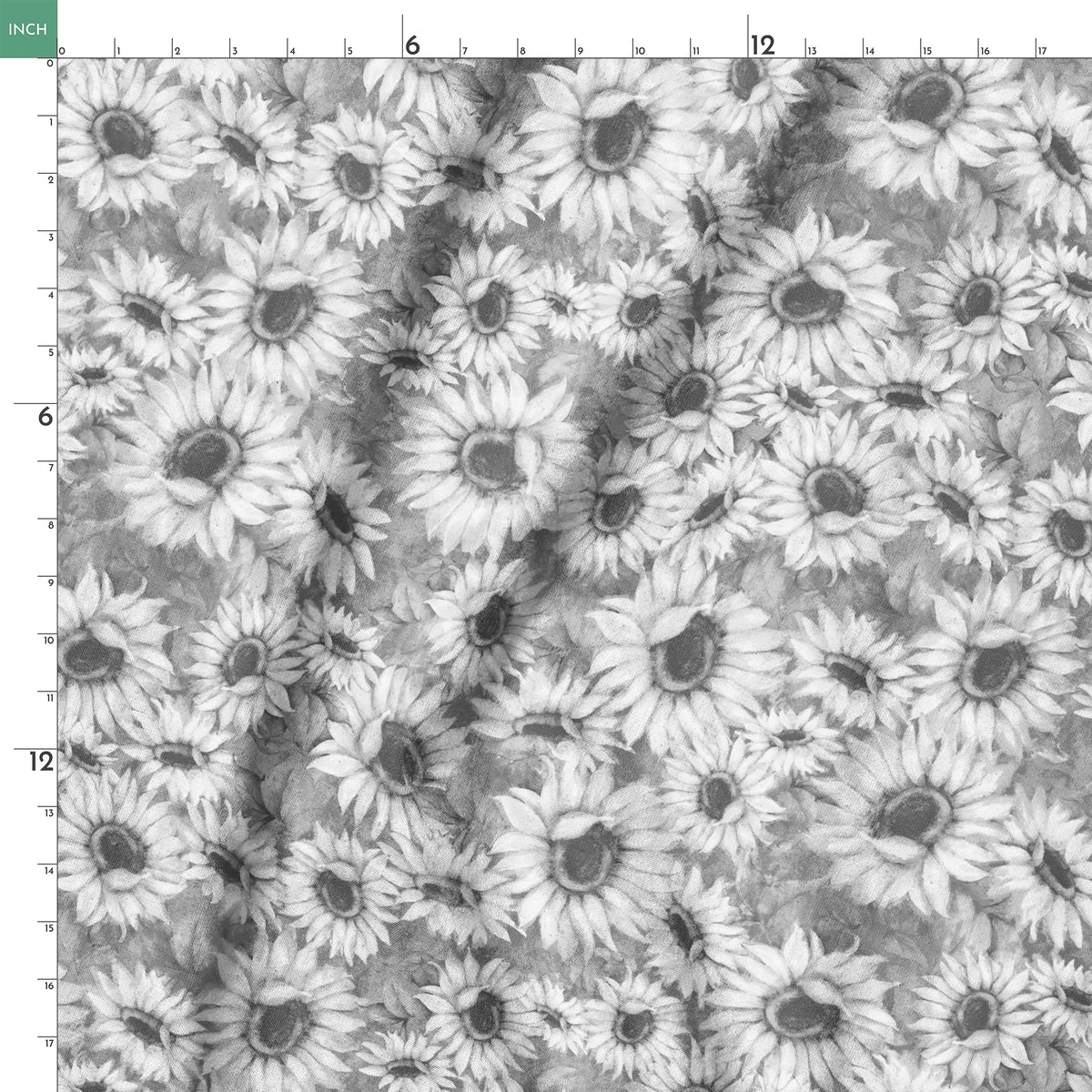 springs ruler 18x18