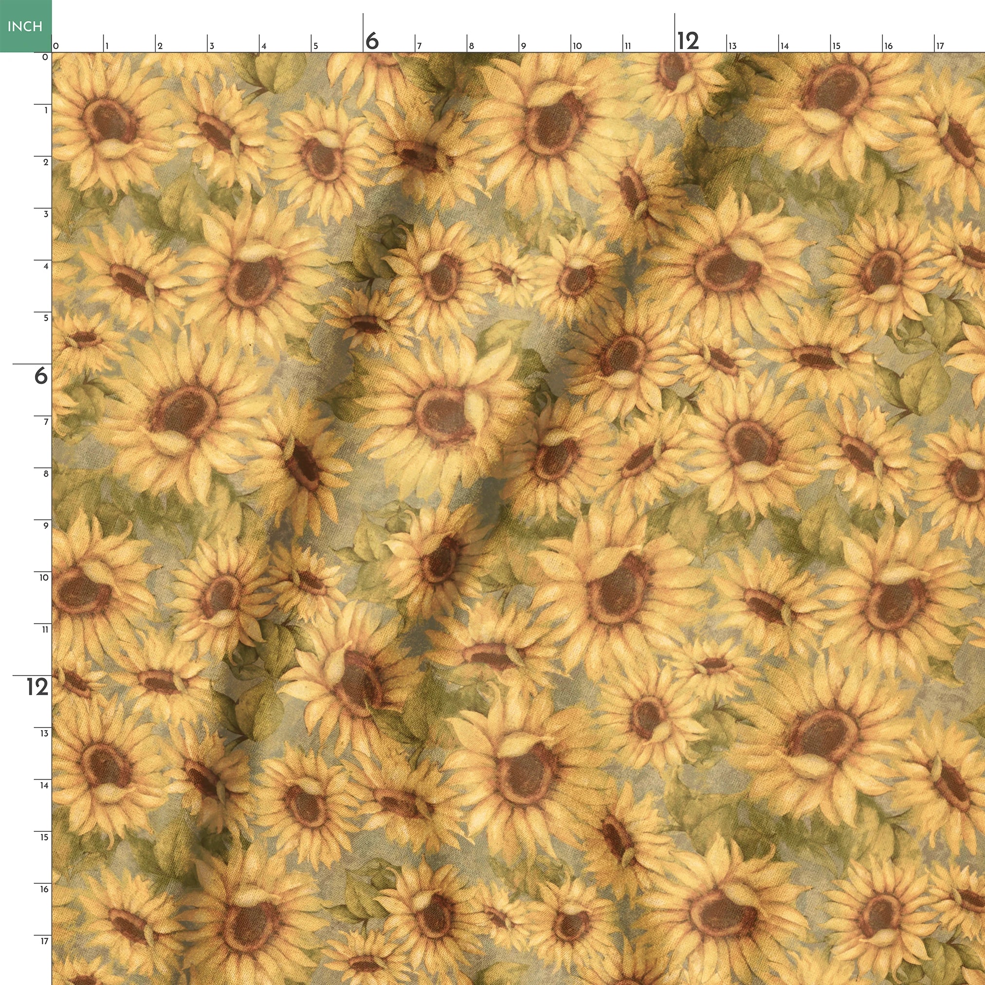 springs ruler 18x18