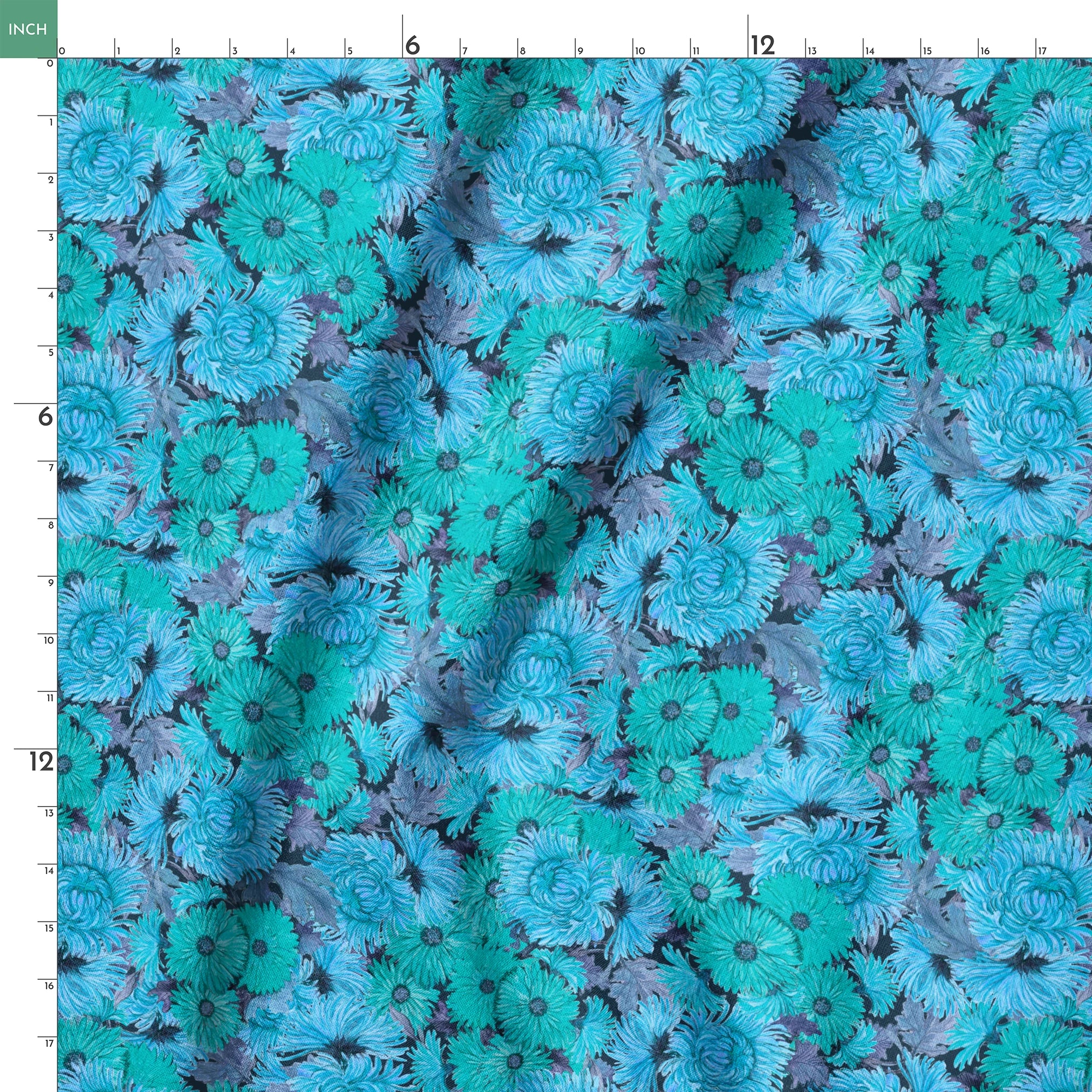 springs ruler 18x18