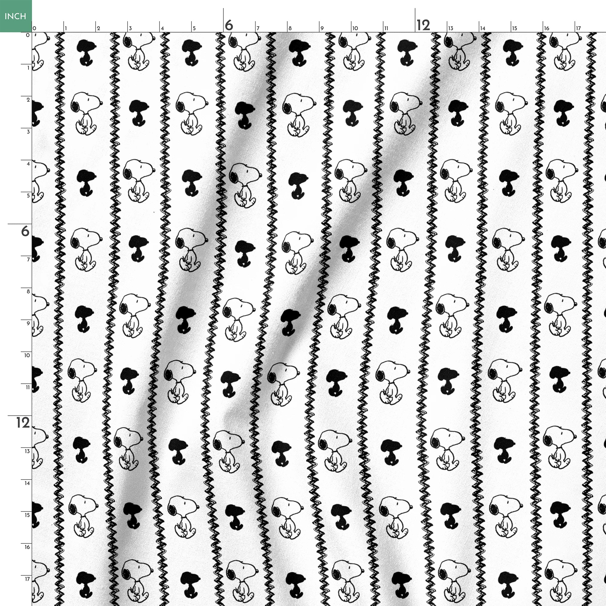 springs ruler 18x18