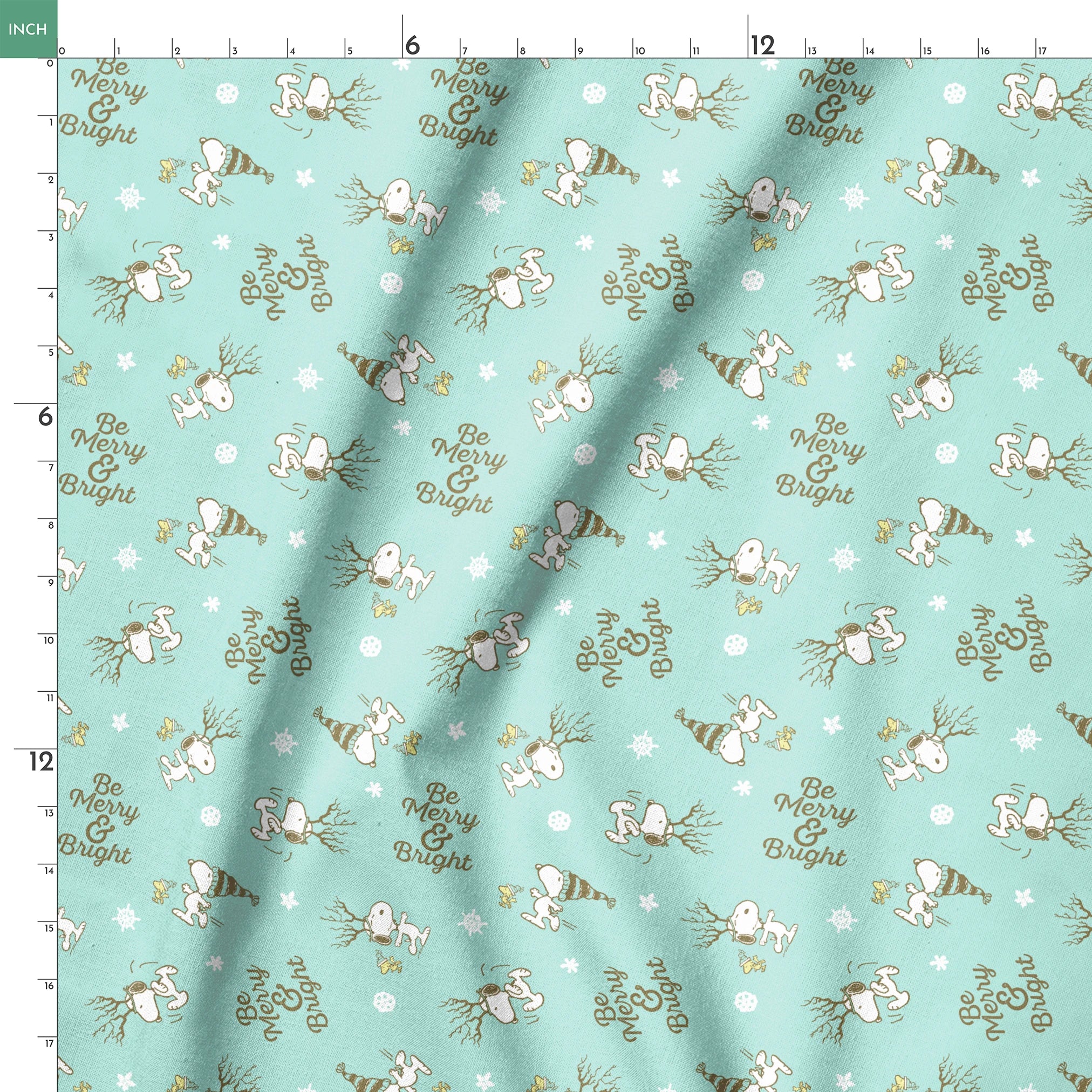 springs ruler 18x18