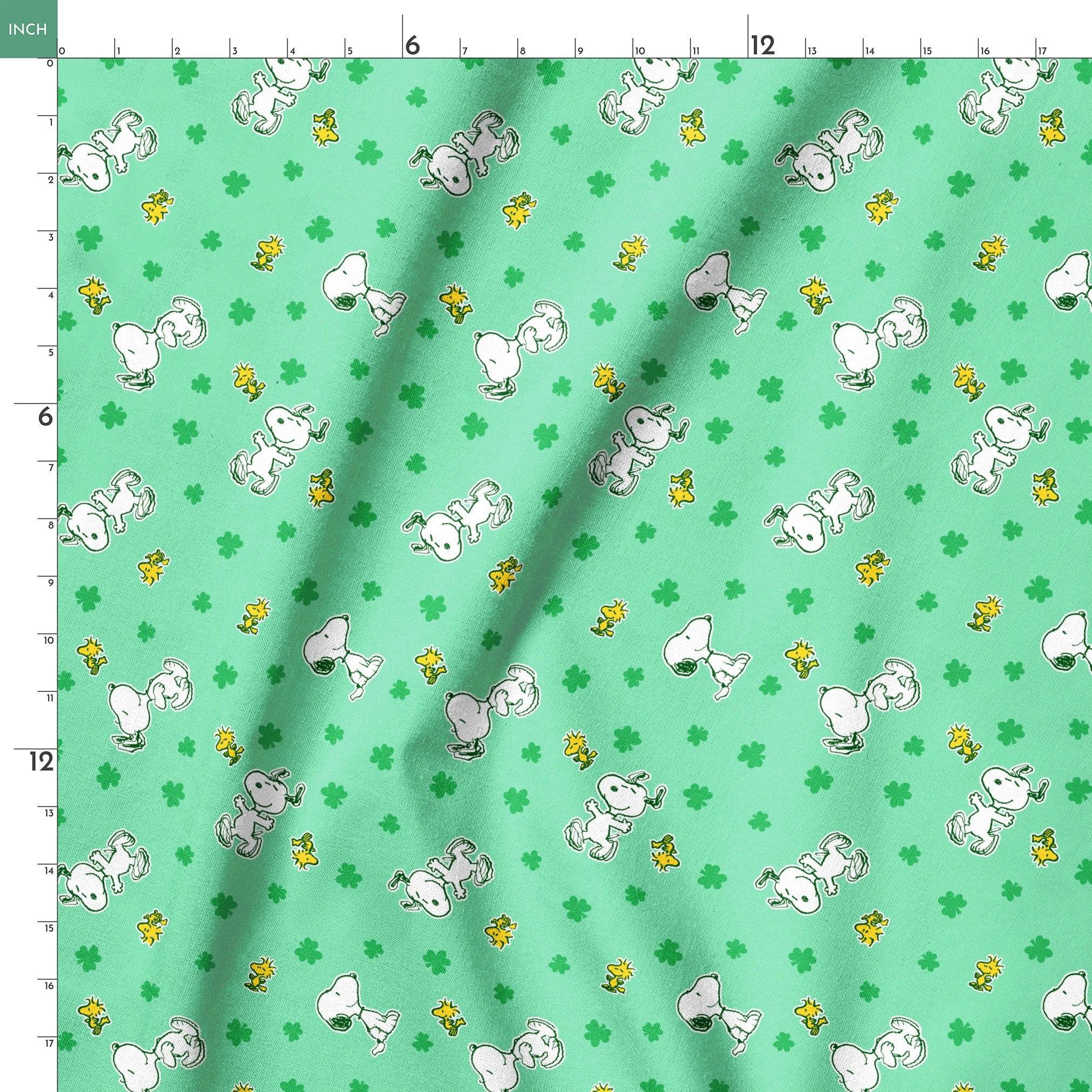 springs ruler 18x18
