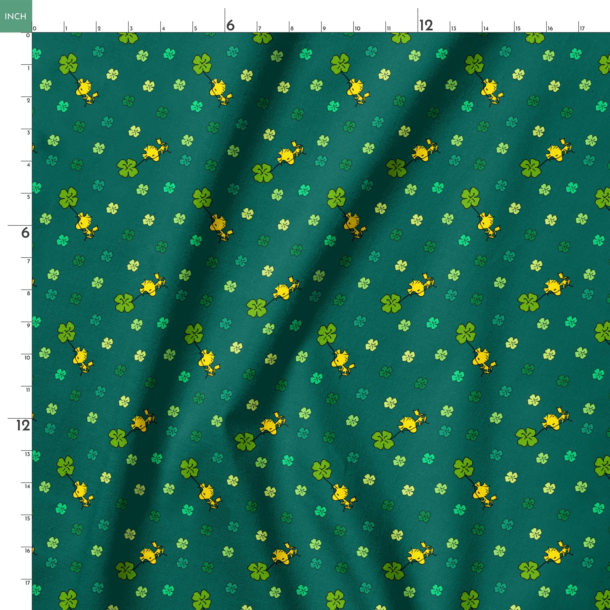 springs ruler 18x18