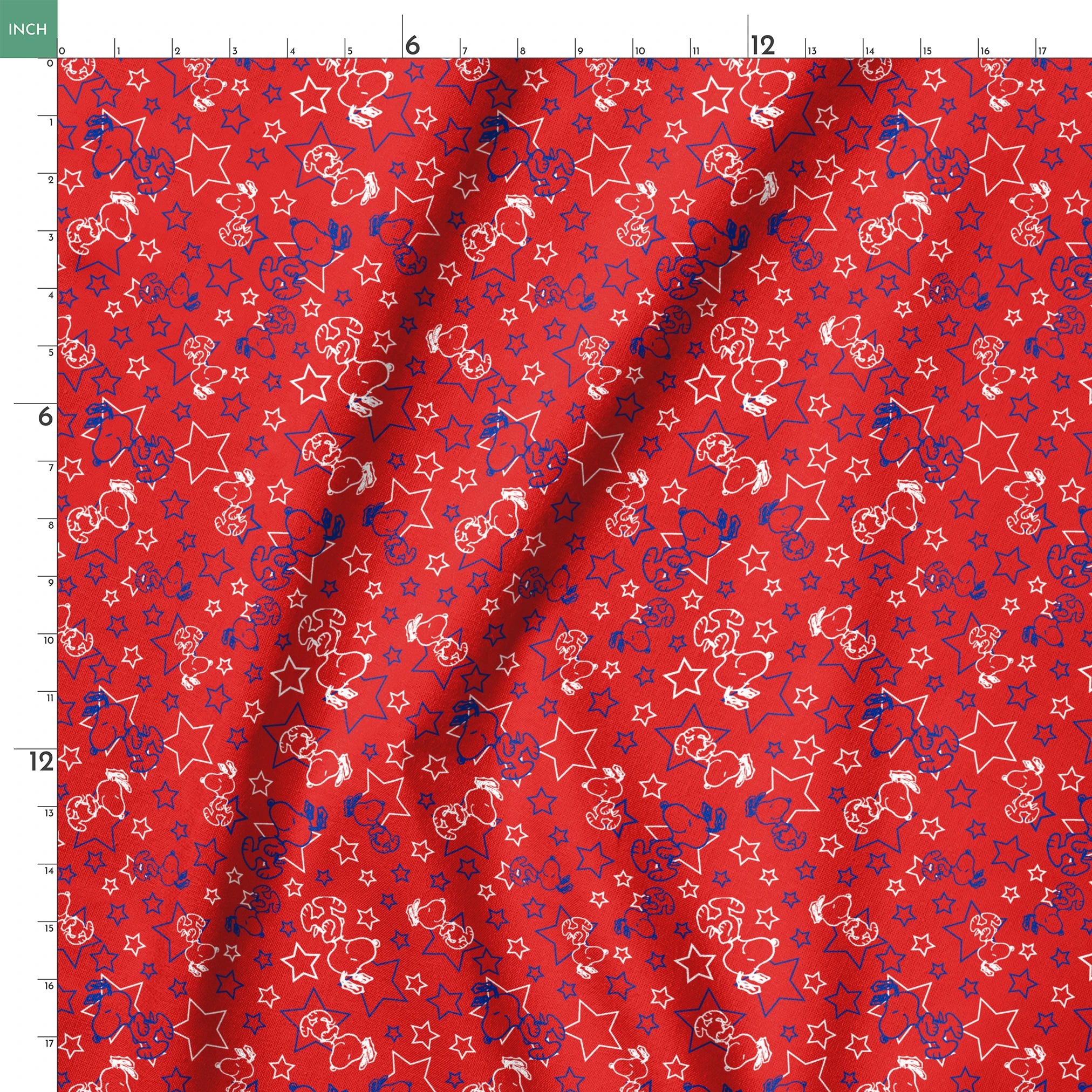 springs ruler 18x18