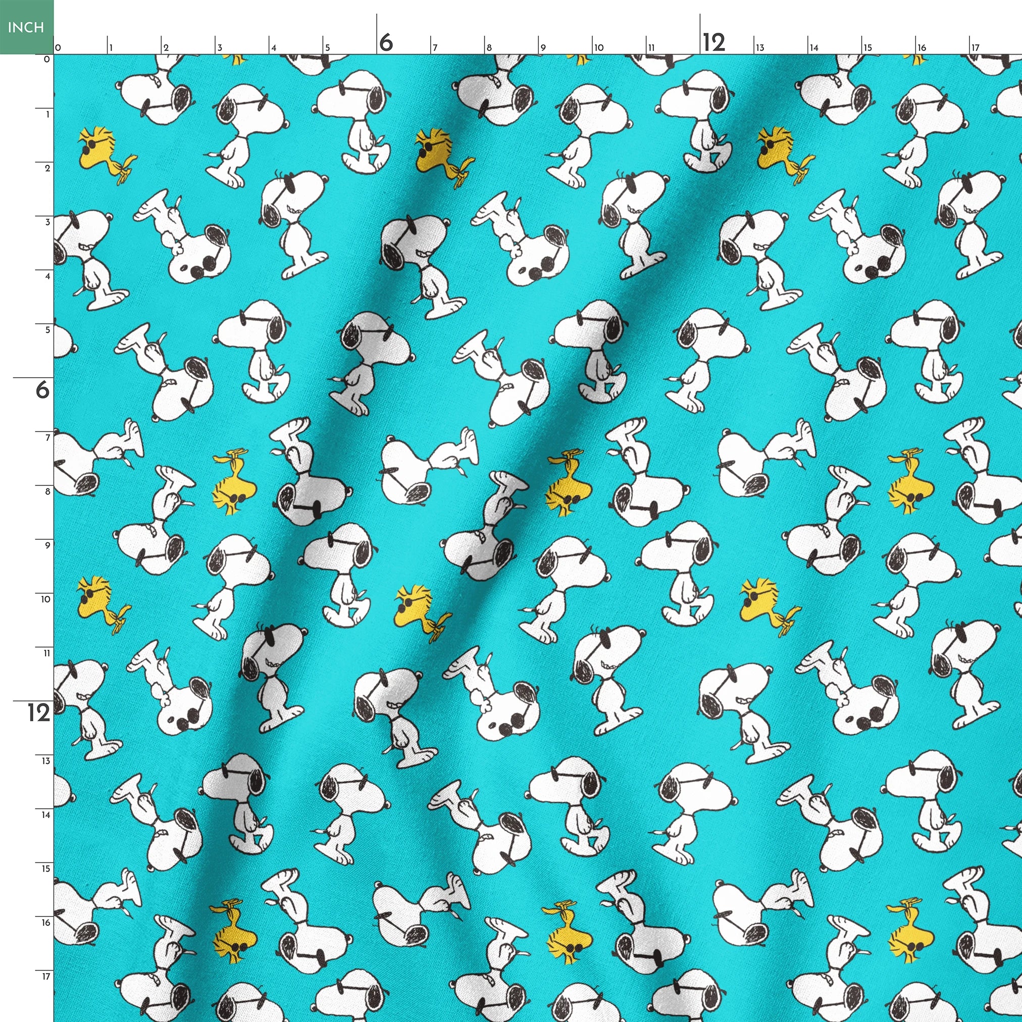 springs ruler 18x18