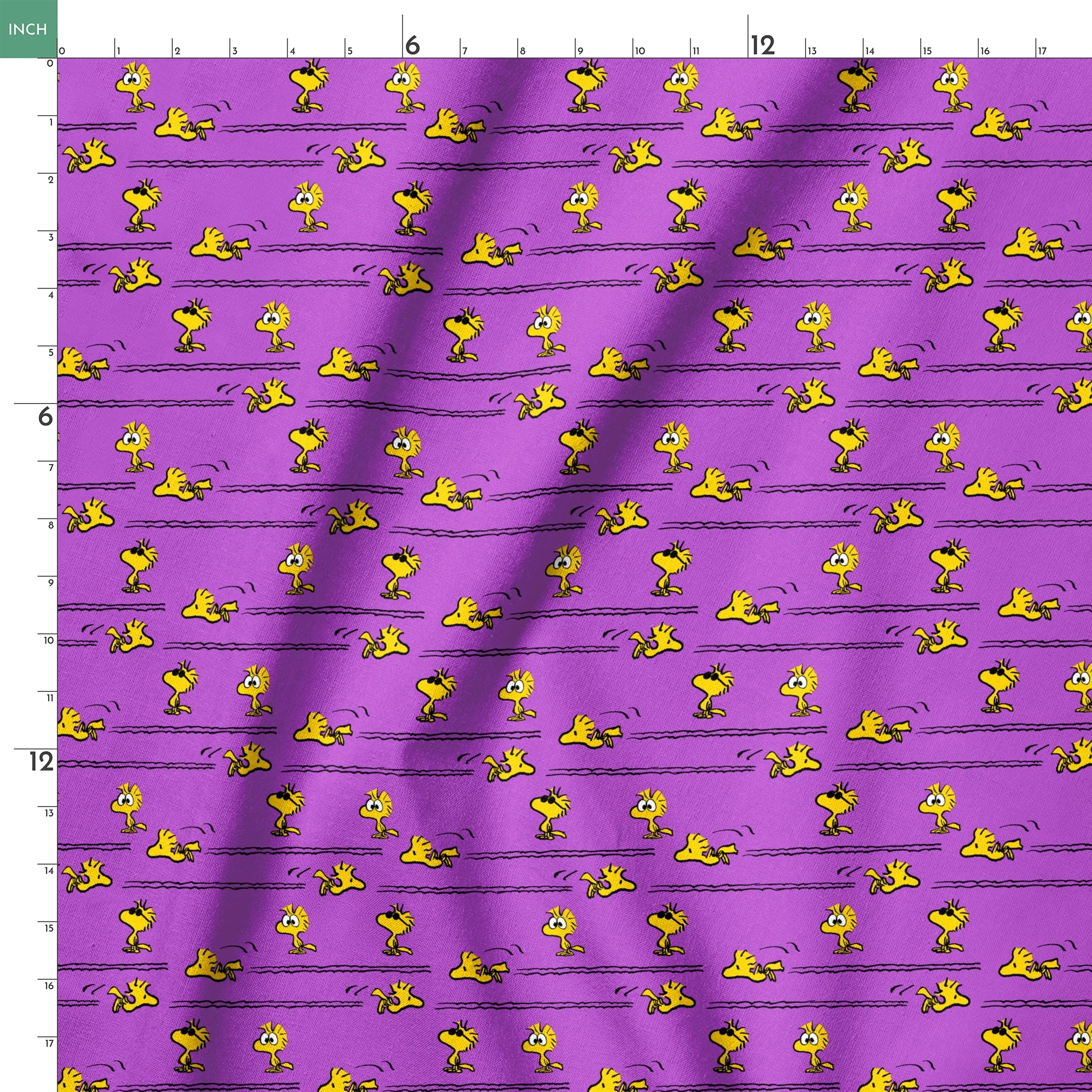 springs ruler 18x18