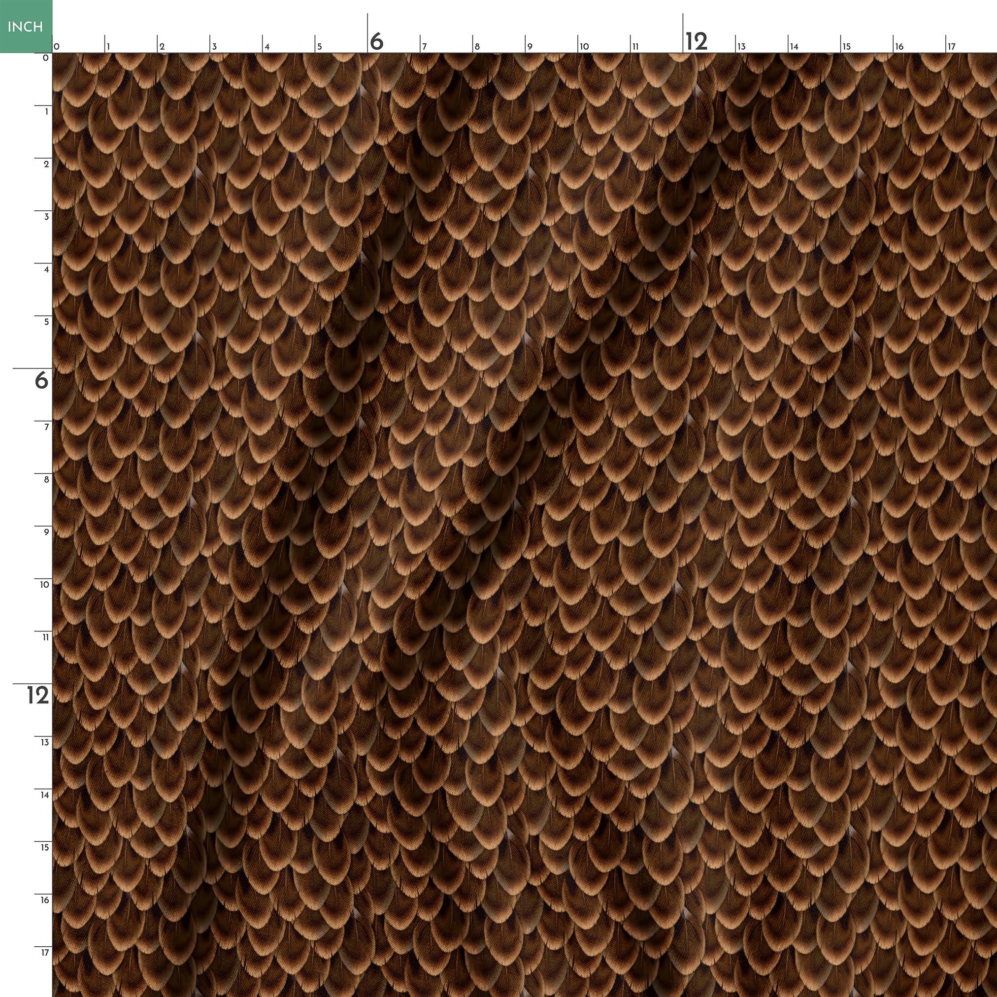 springs ruler 18x18