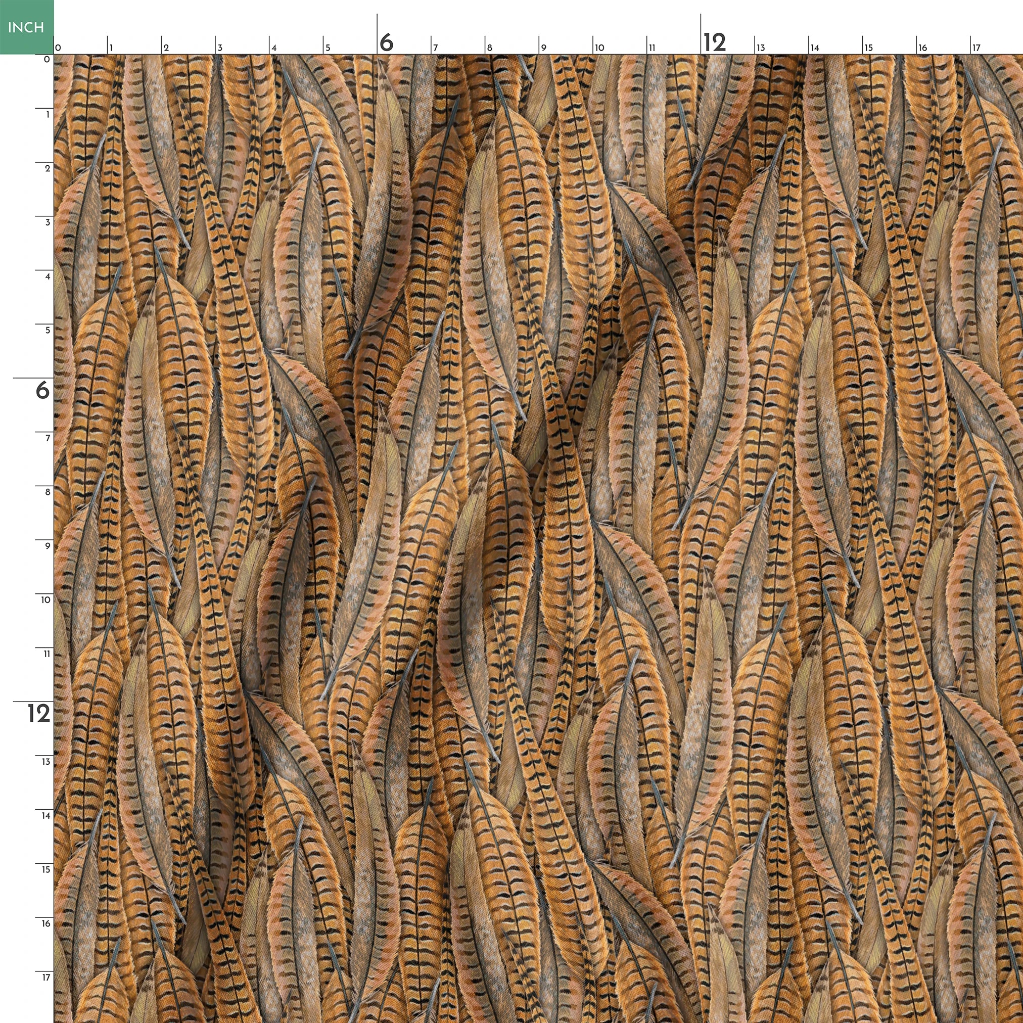 springs ruler 18x18