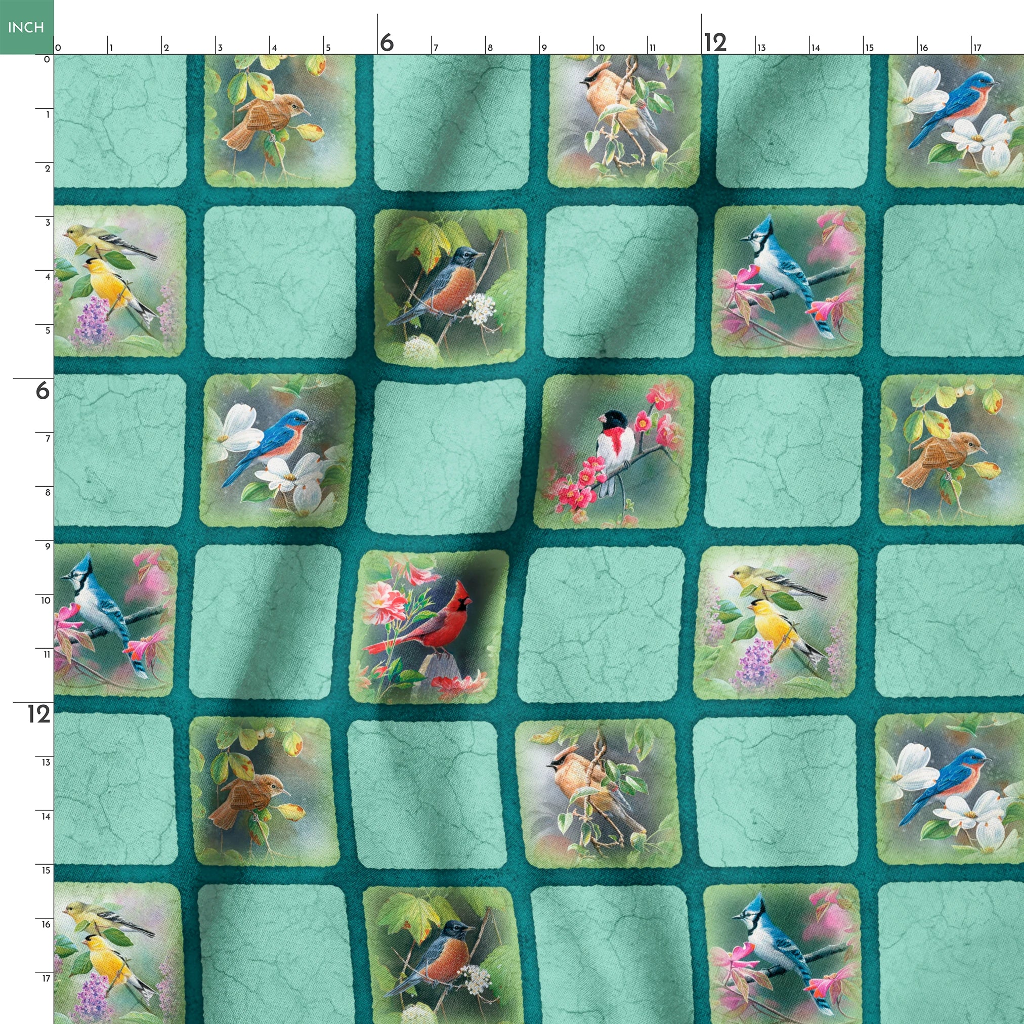 springs ruler 18x18