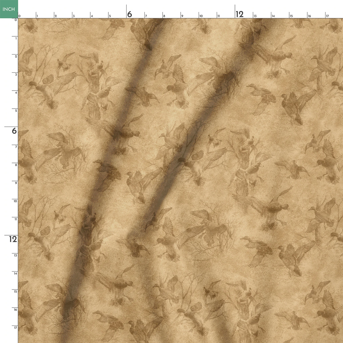 springs ruler 18x18