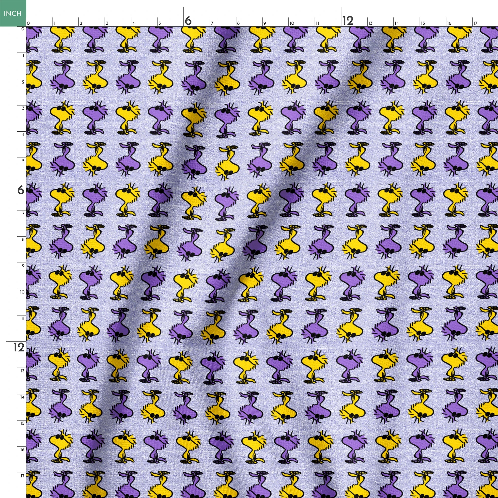 springs ruler 18x18