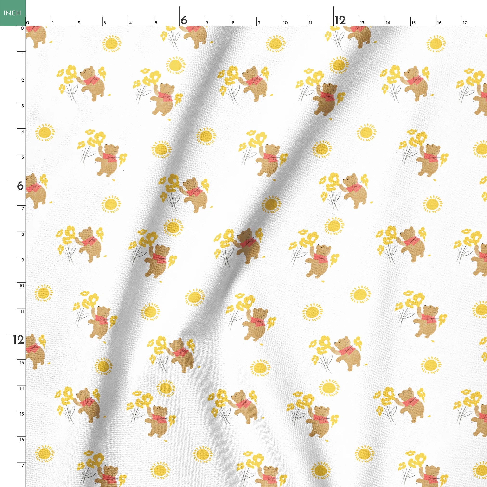 springs ruler 18x18