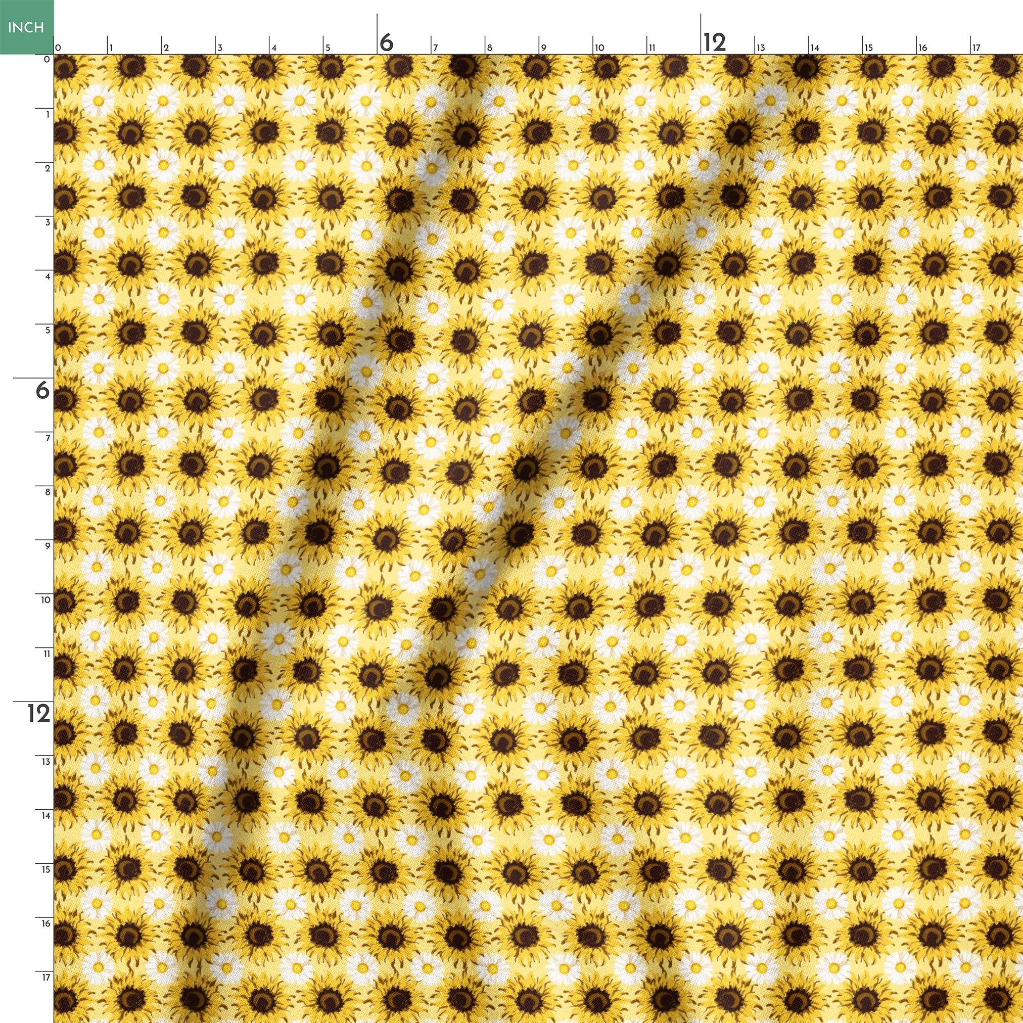 springs ruler 18x18