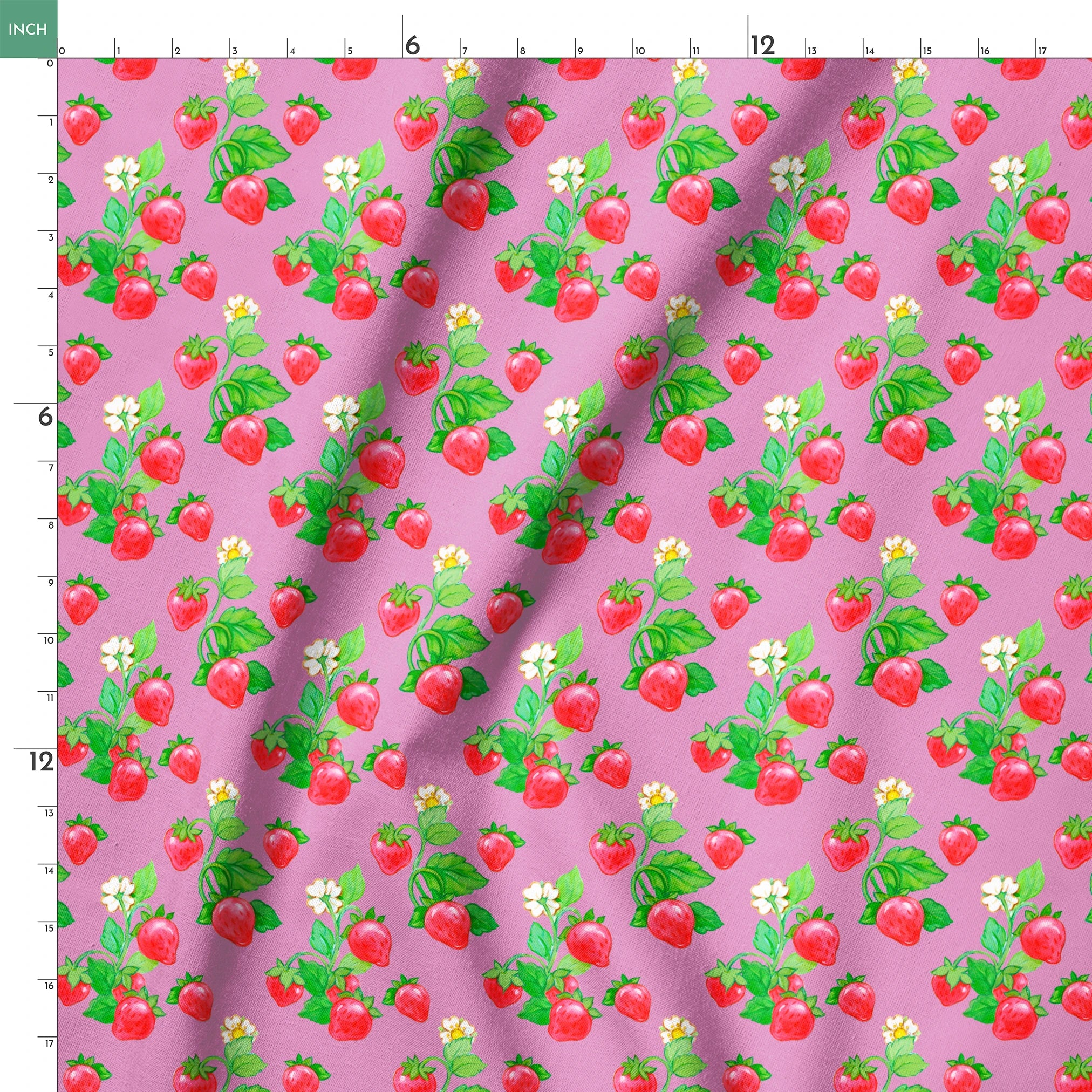 springs ruler 18x18