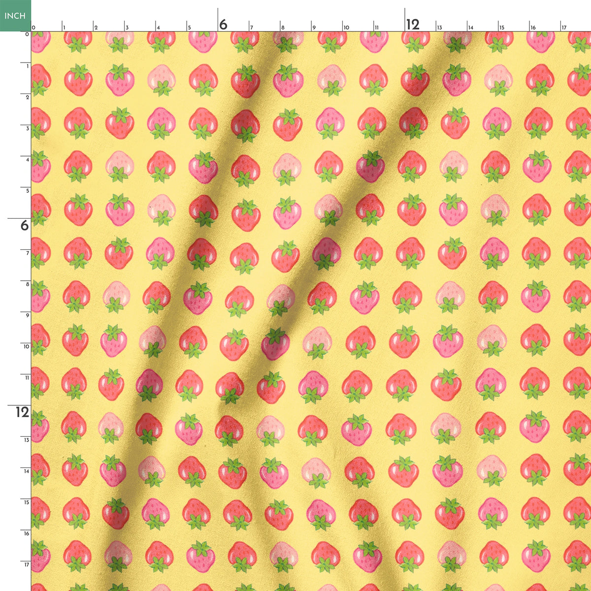 springs ruler 18x18