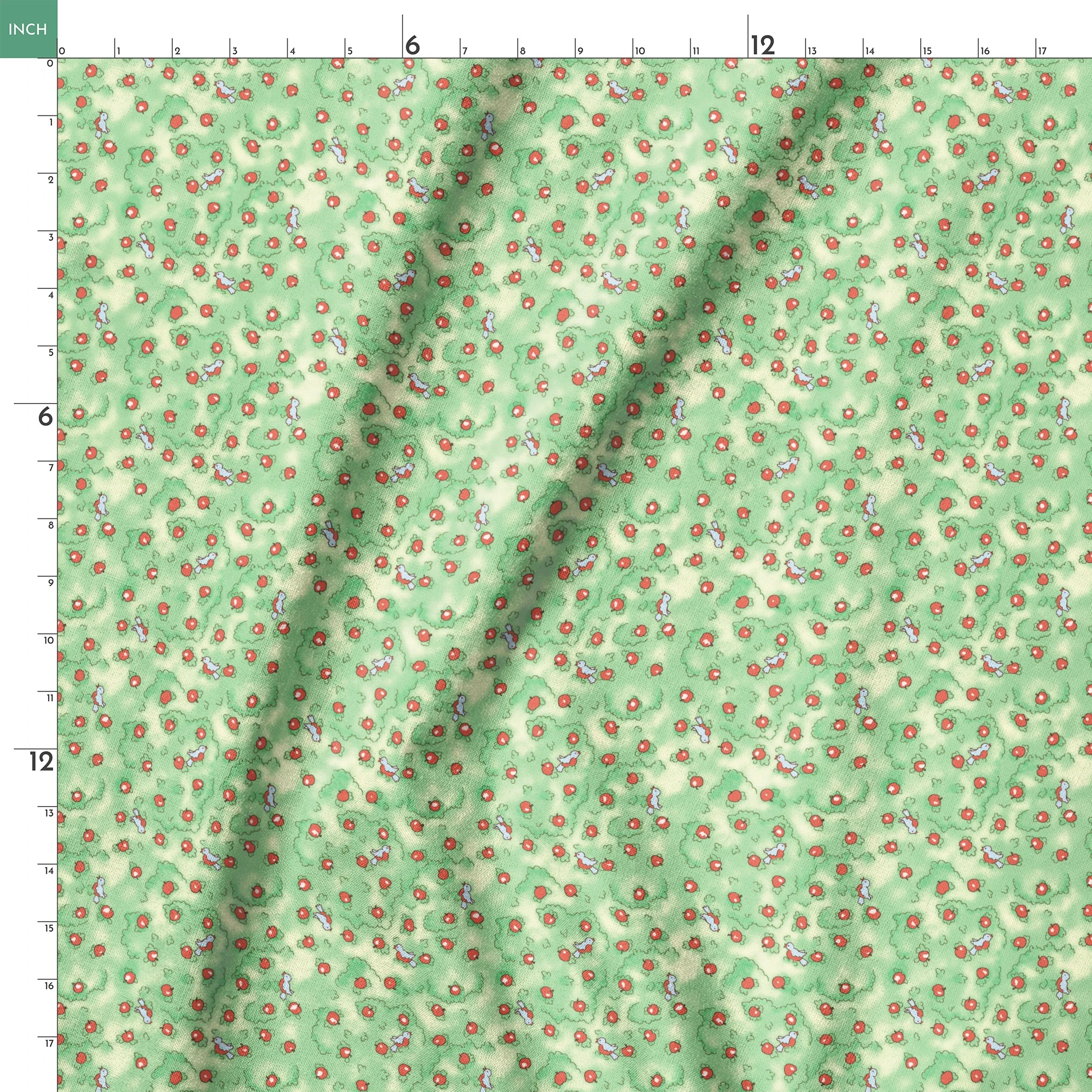 springs ruler 18x18