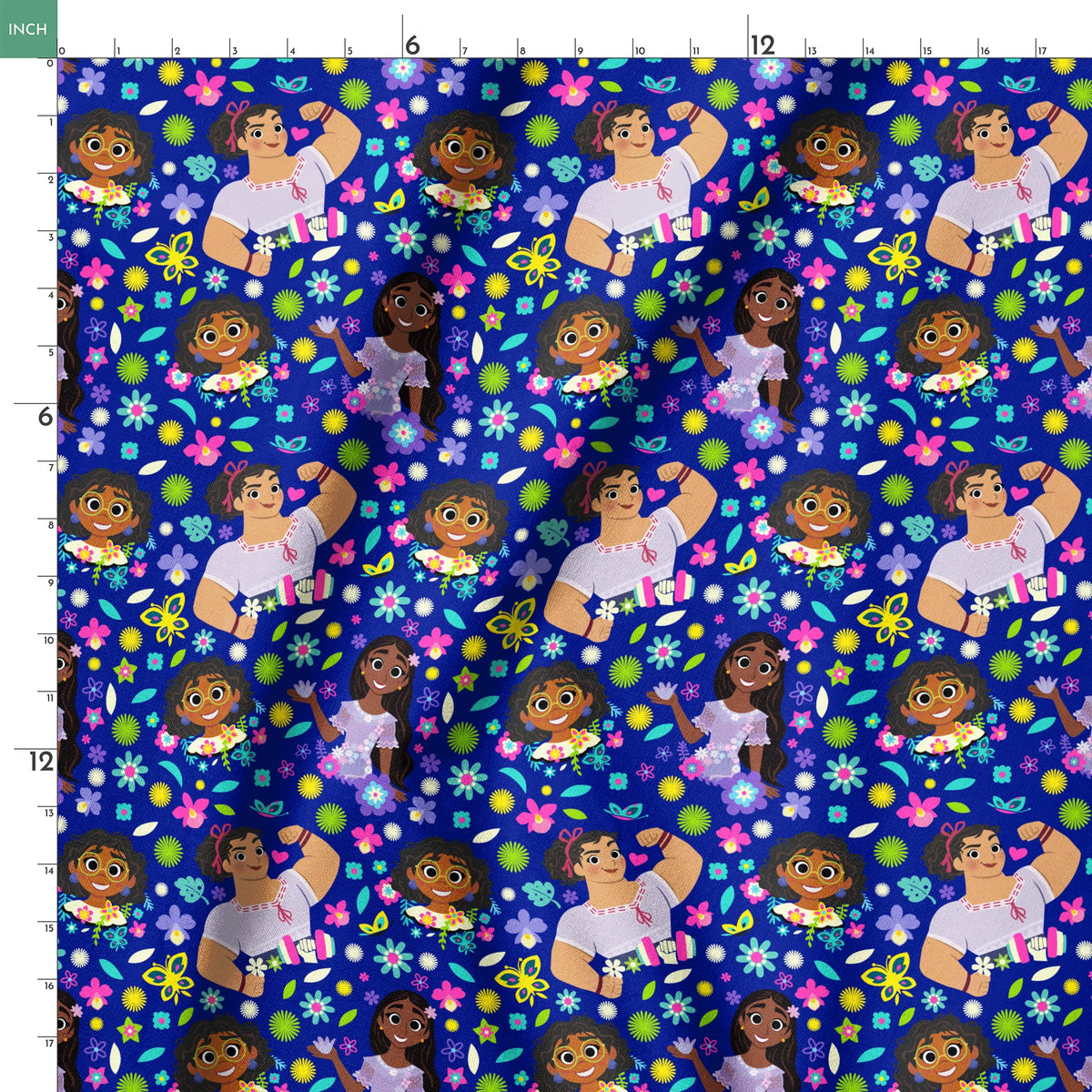 Colorful cartoon characters surrounded by bright flowers on vibrant blue background springs ruler 18x18
