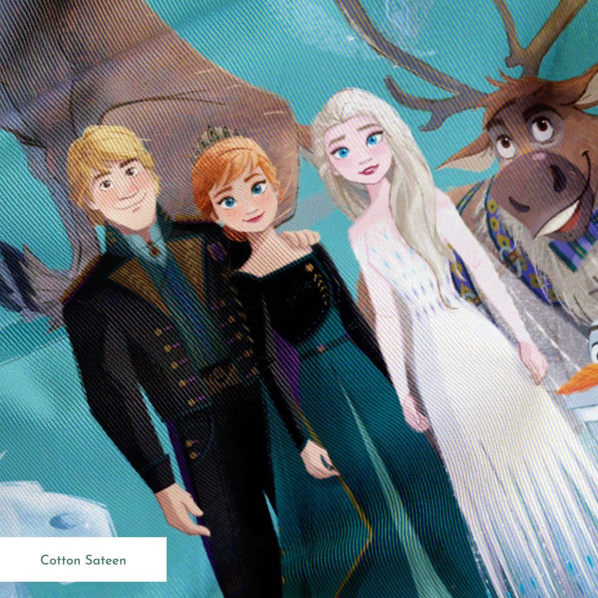 Characters from Frozen movie including Elsa, Olaf, Sven and others on turquoise background springs sateen texture