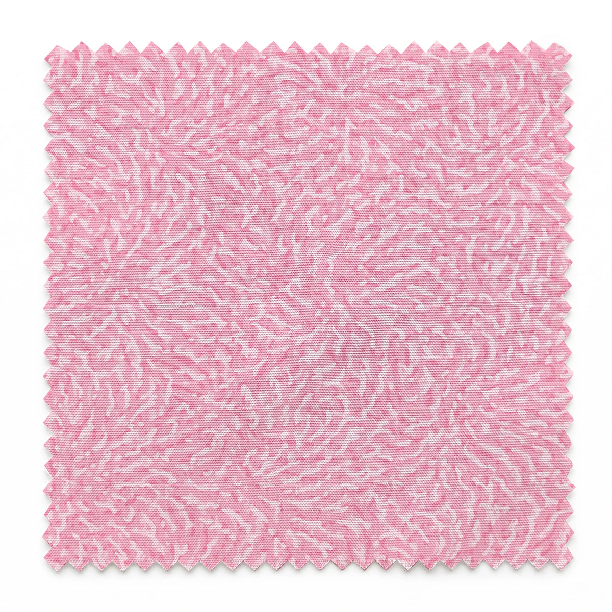 springs swatch pinked