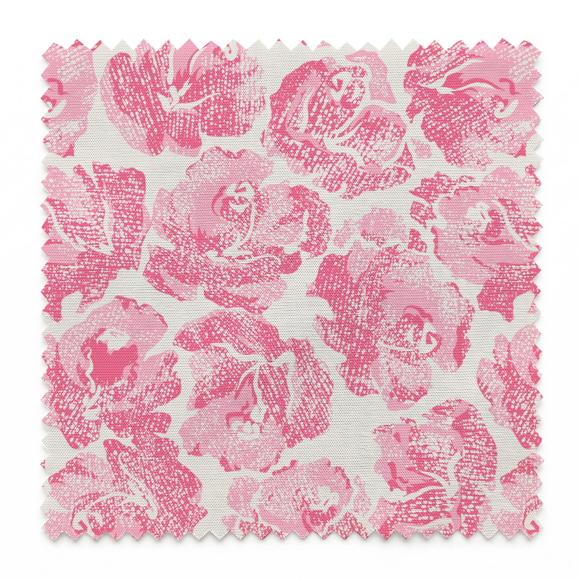 springs swatch pinked
