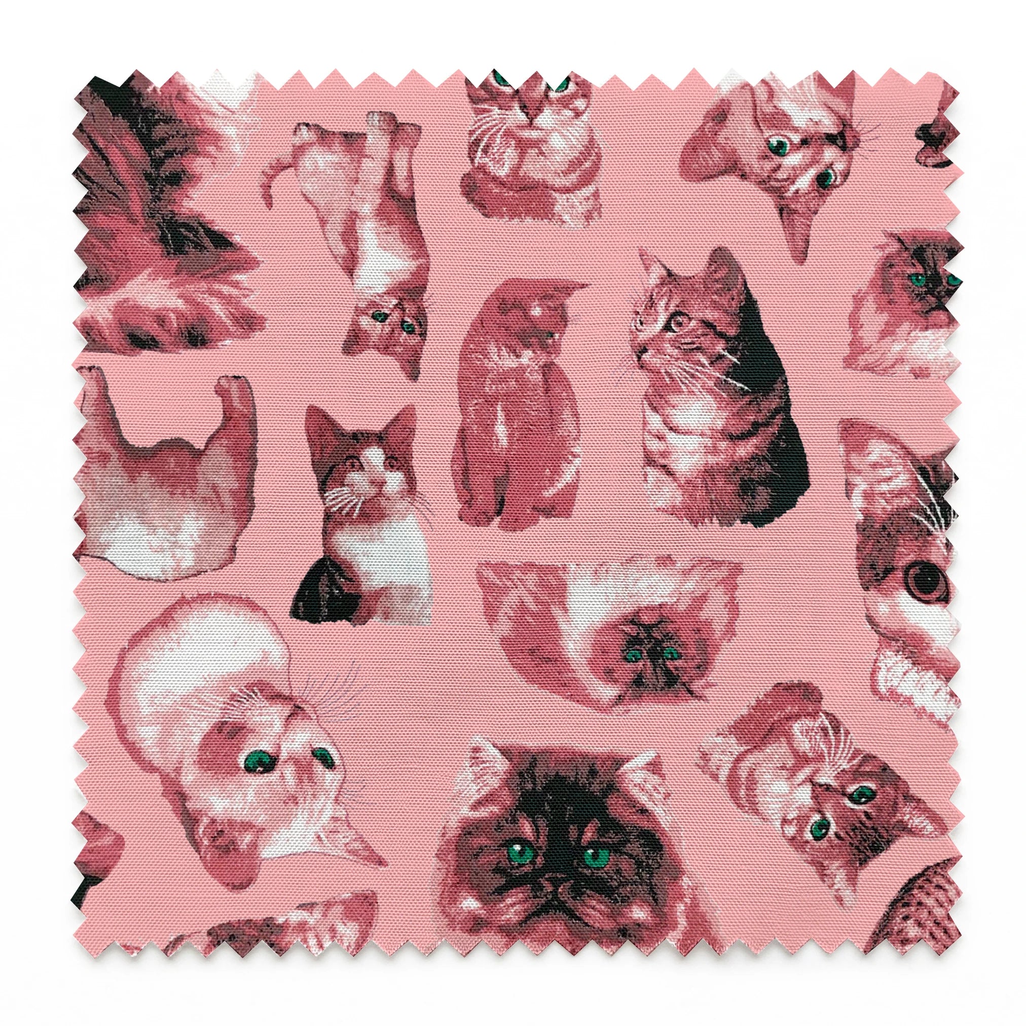 springs swatch pinked