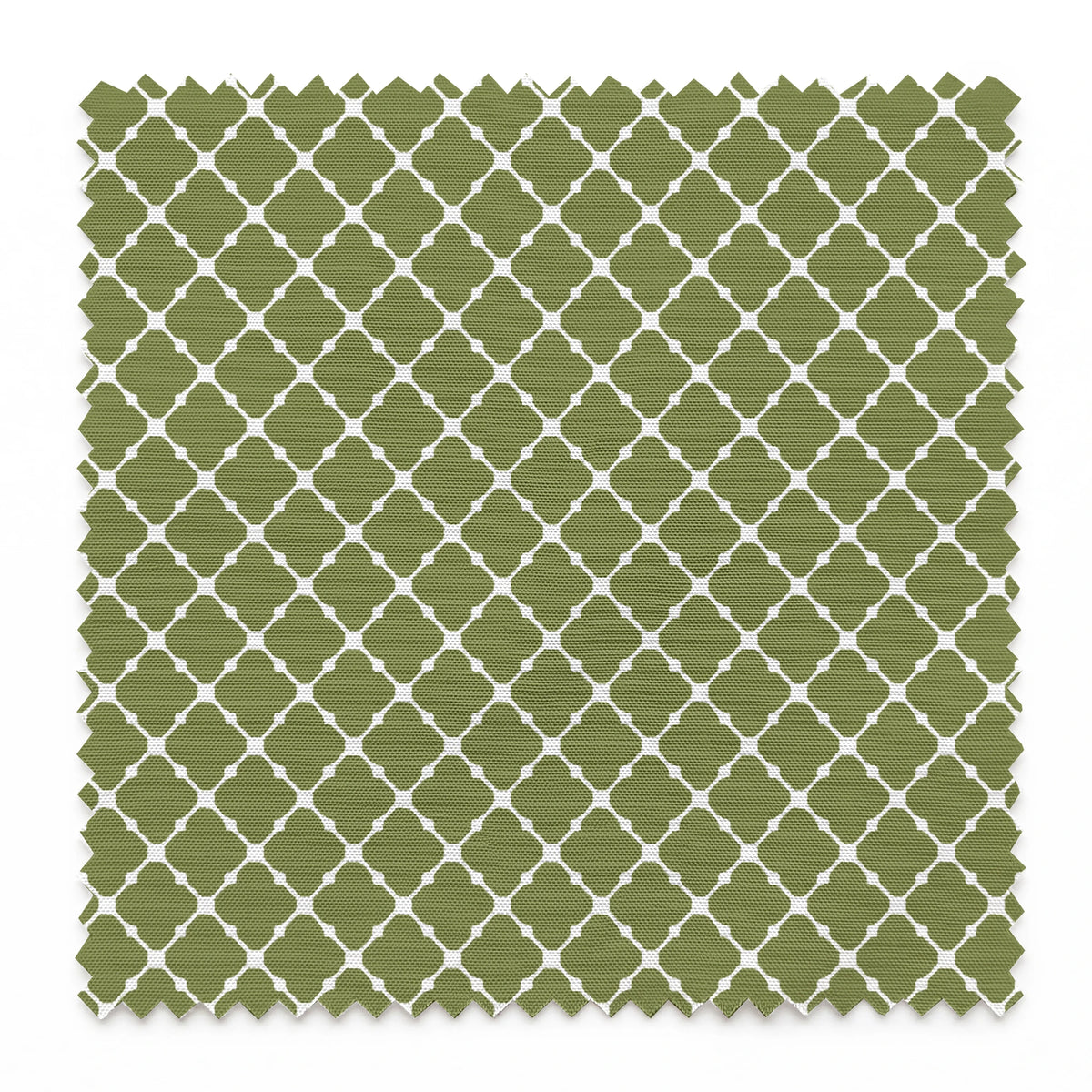 Sage green quatrefoil pattern with white lattice lines forming a Moroccan-style geometric design springs swatch pinked
