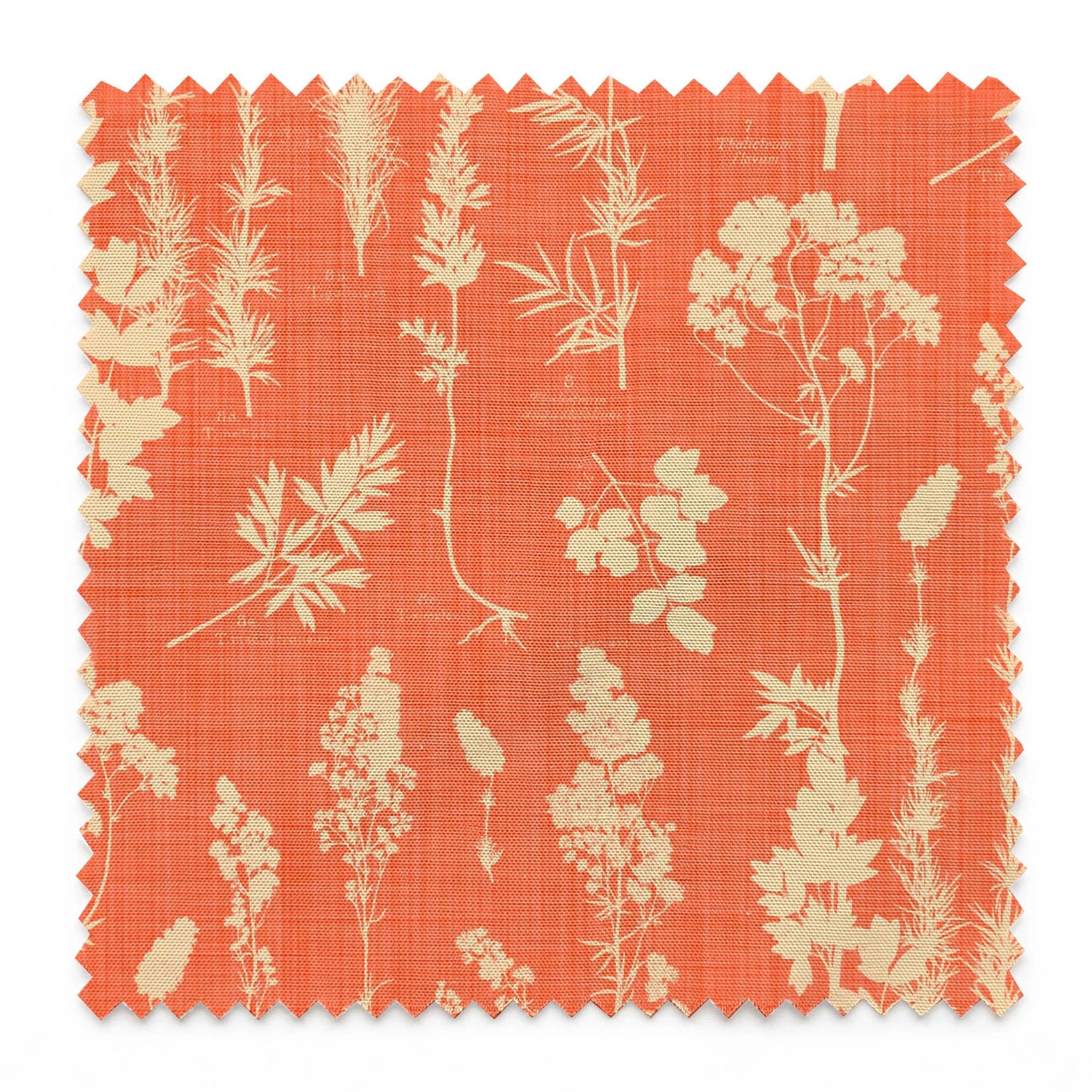 springs swatch pinked