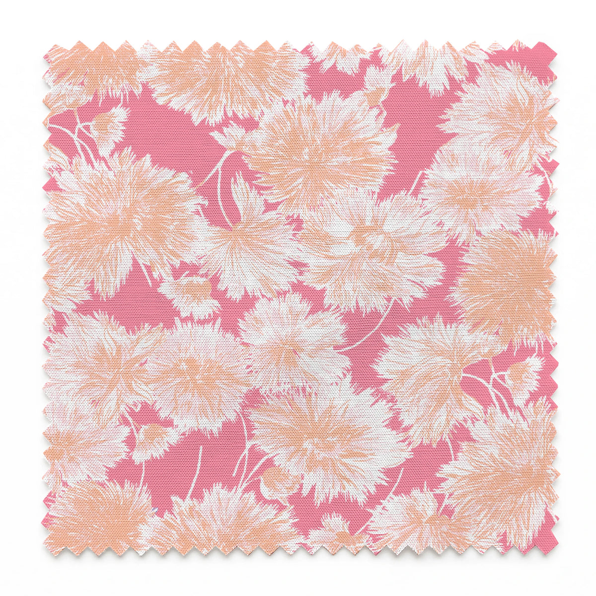 springs swatch pinked