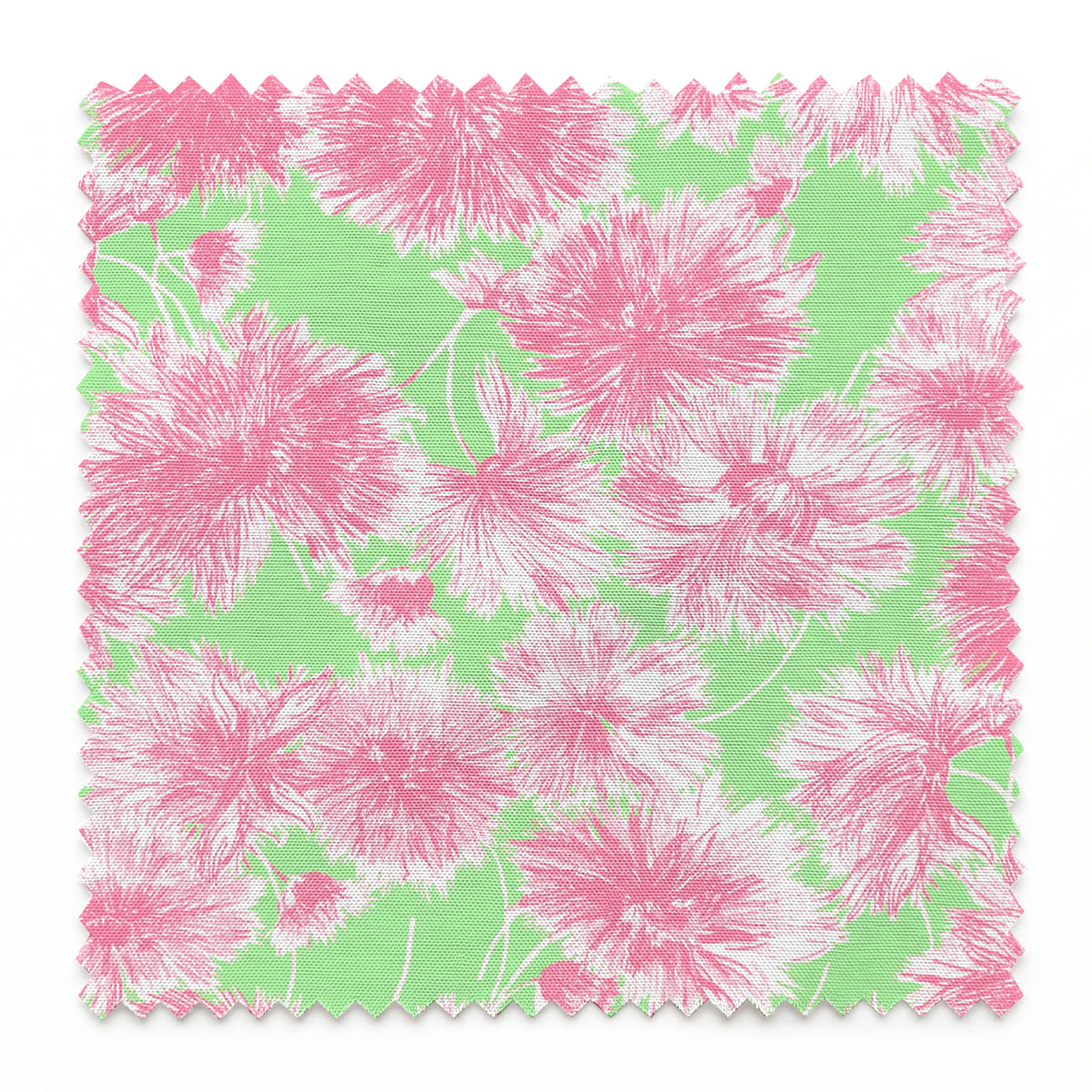 springs swatch pinked