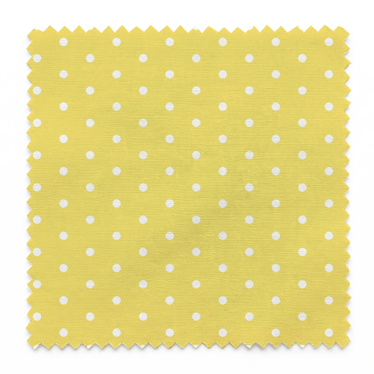 Yellow background with white circles. springs swatch pinked