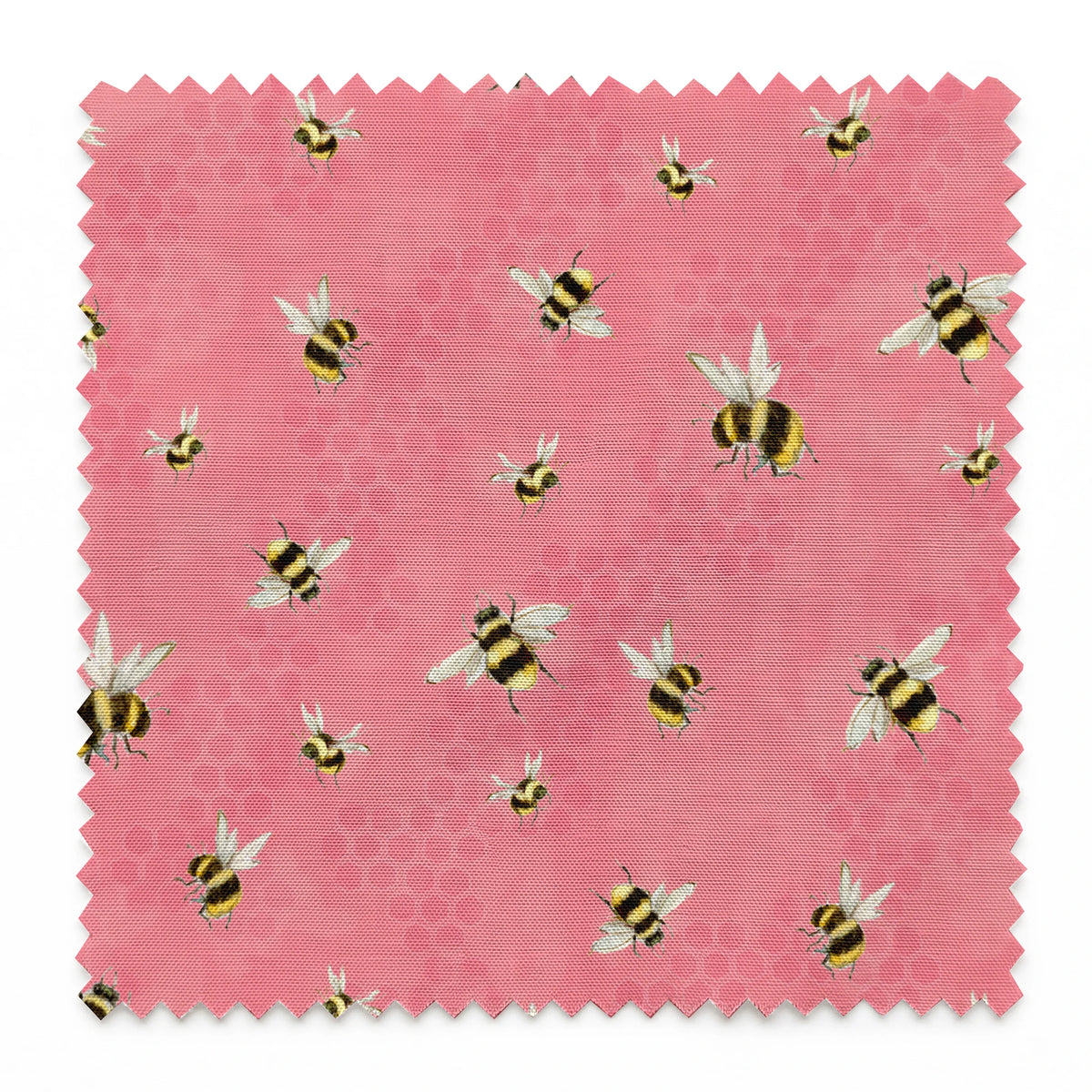 springs swatch pinked