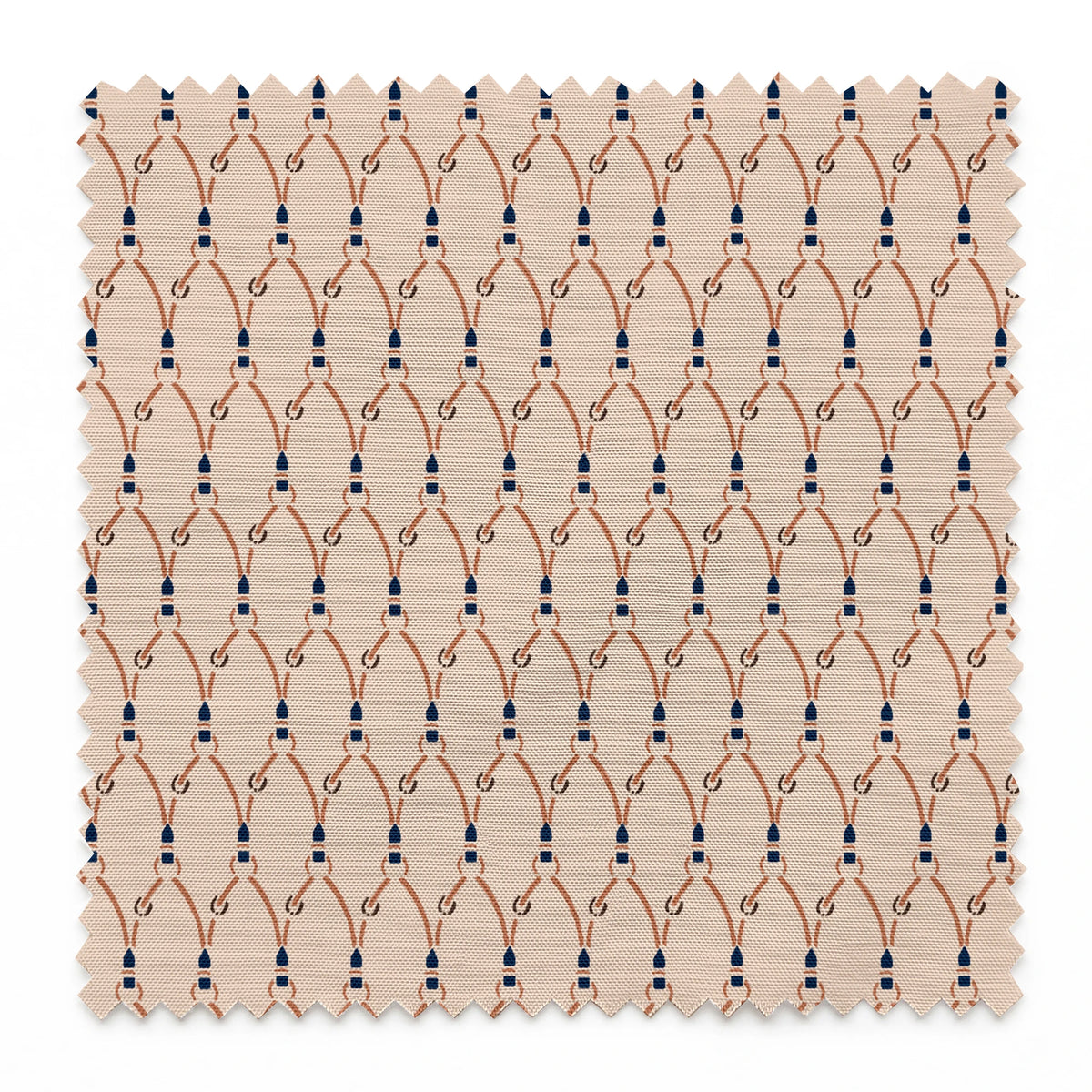 Waylon on Navy Fabric