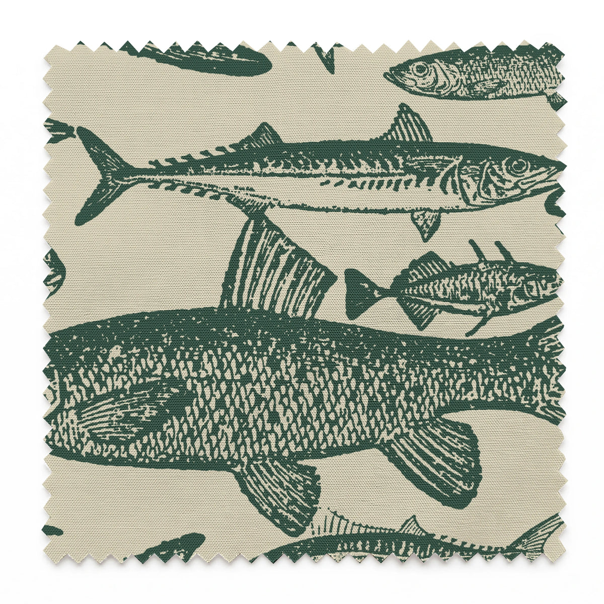 Reed on Forestry Fabric