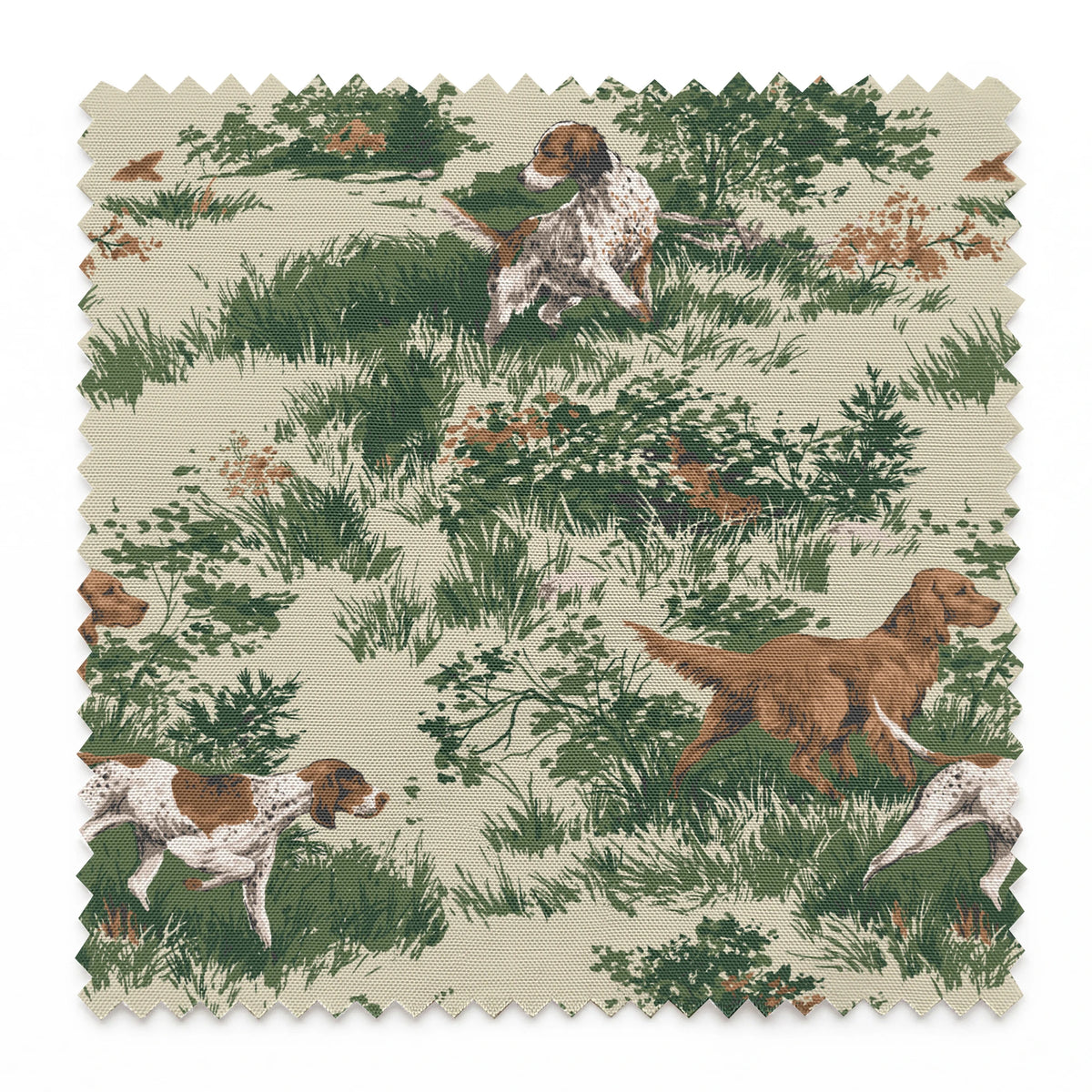 Jackson on Forestry Fabric