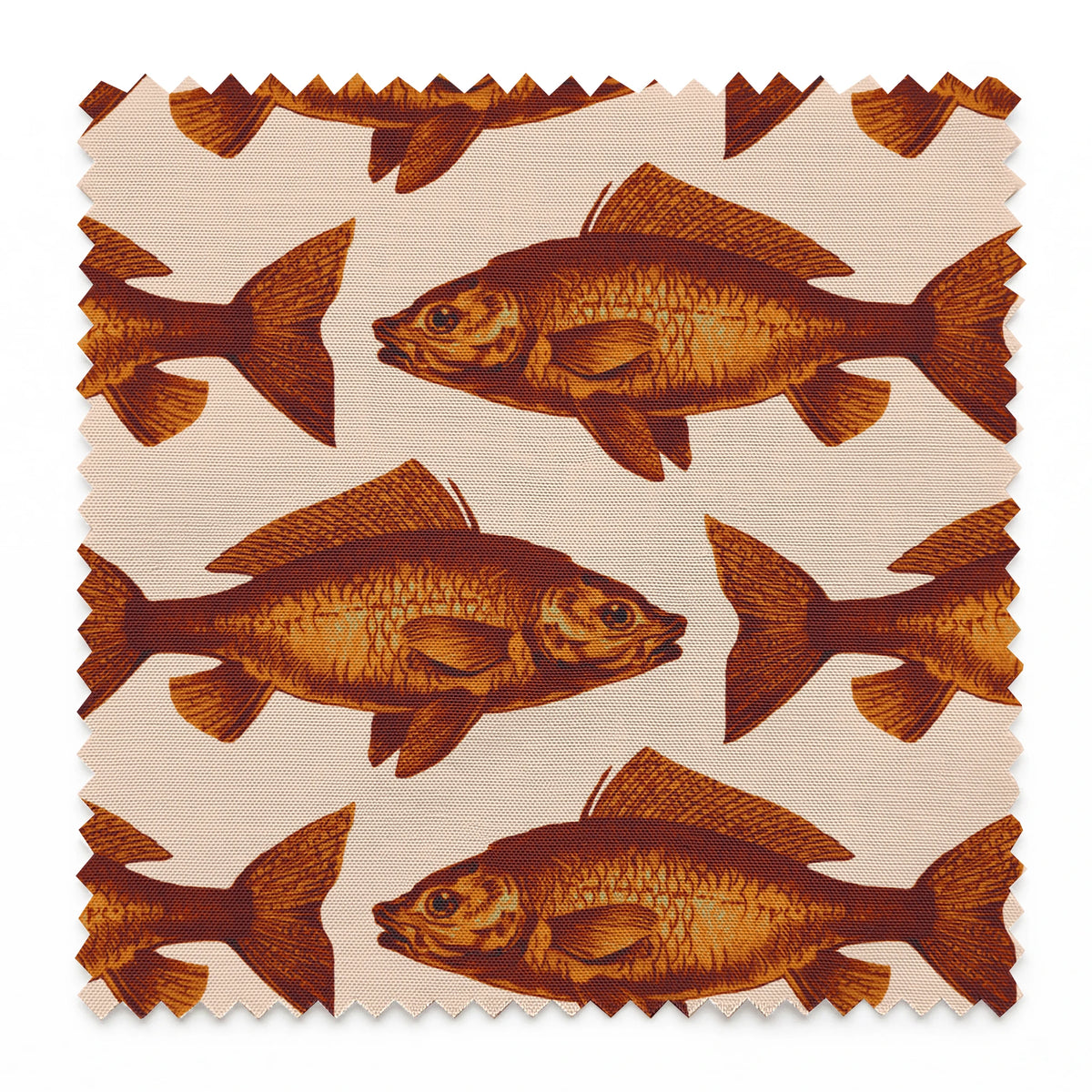 Guppy on Spice Fabric