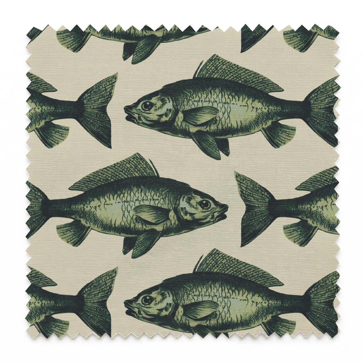Guppy on Forestry Fabric