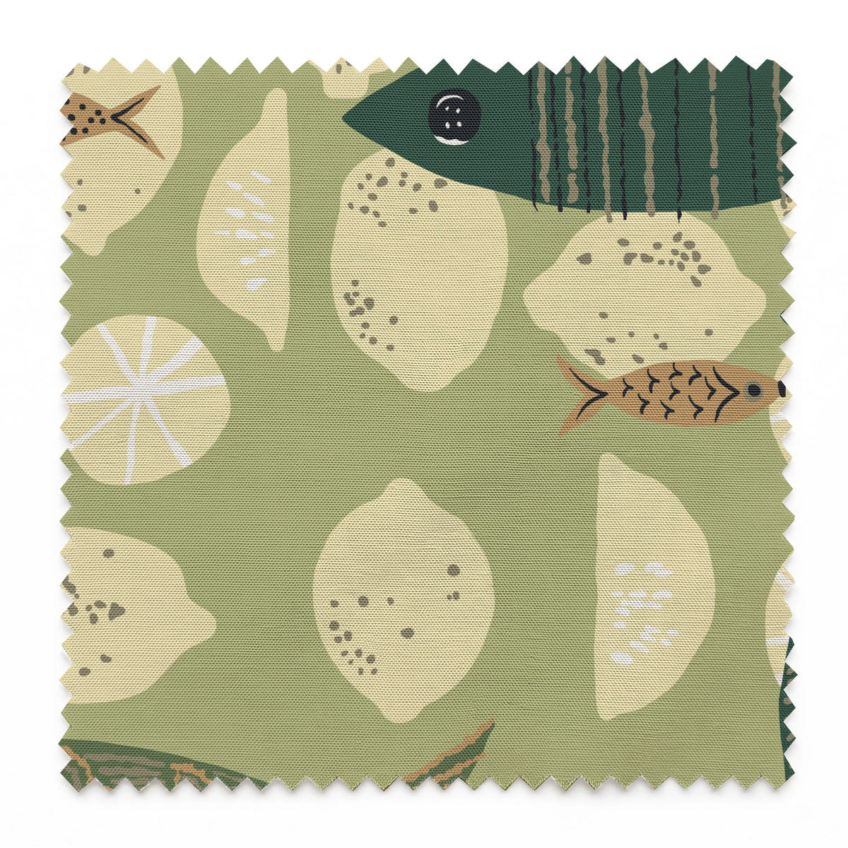 Fraser on Forestry Fabric