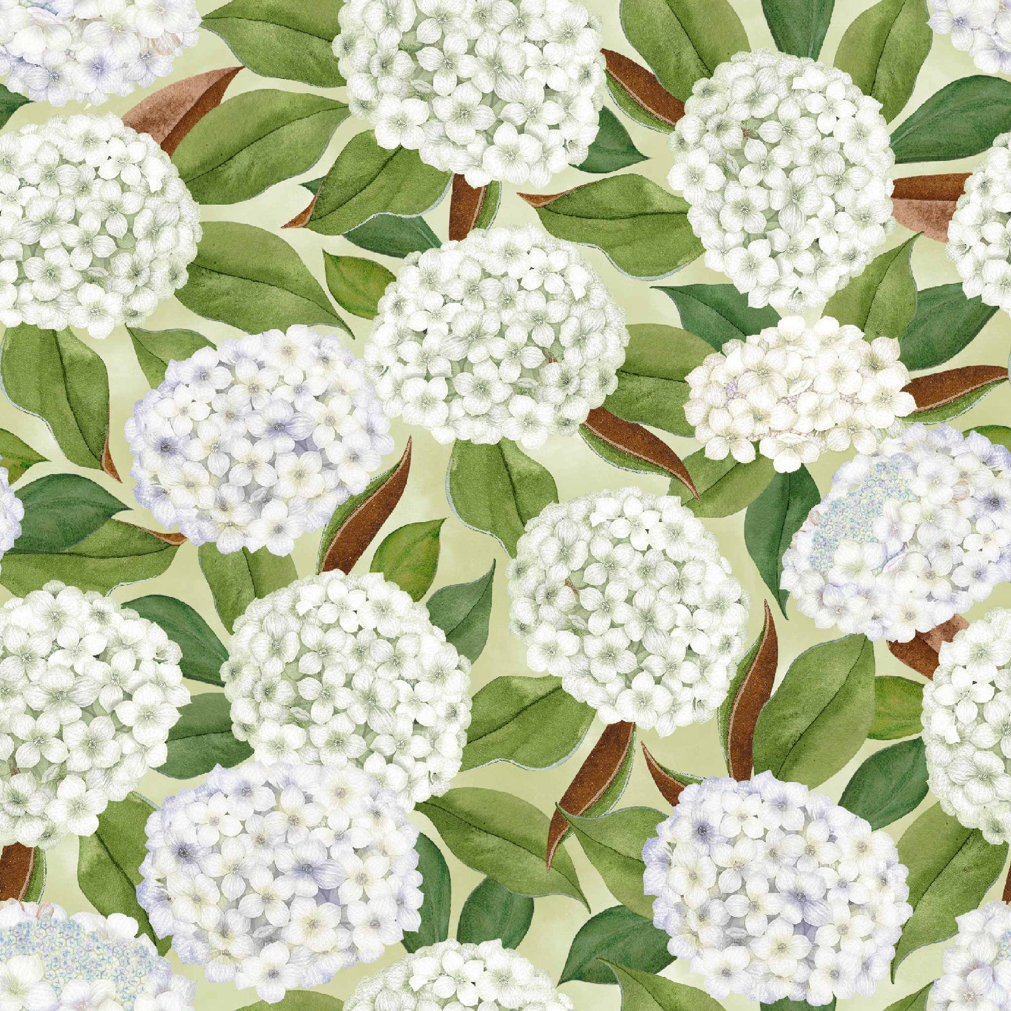 Realistic white hydrangea clusters with green leaves on a soft cream background, designed by Nicole Tamarin in a timeless botanical style. tiled preview square