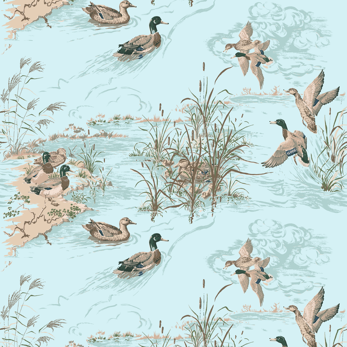 Mallard on Forestry Wallpaper