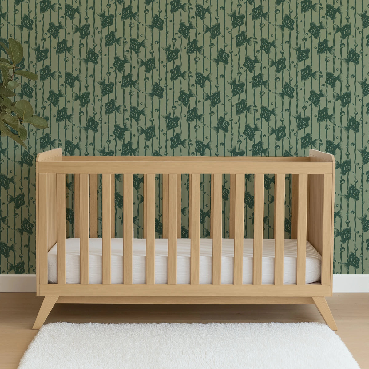 Danio on Forestry Wallpaper